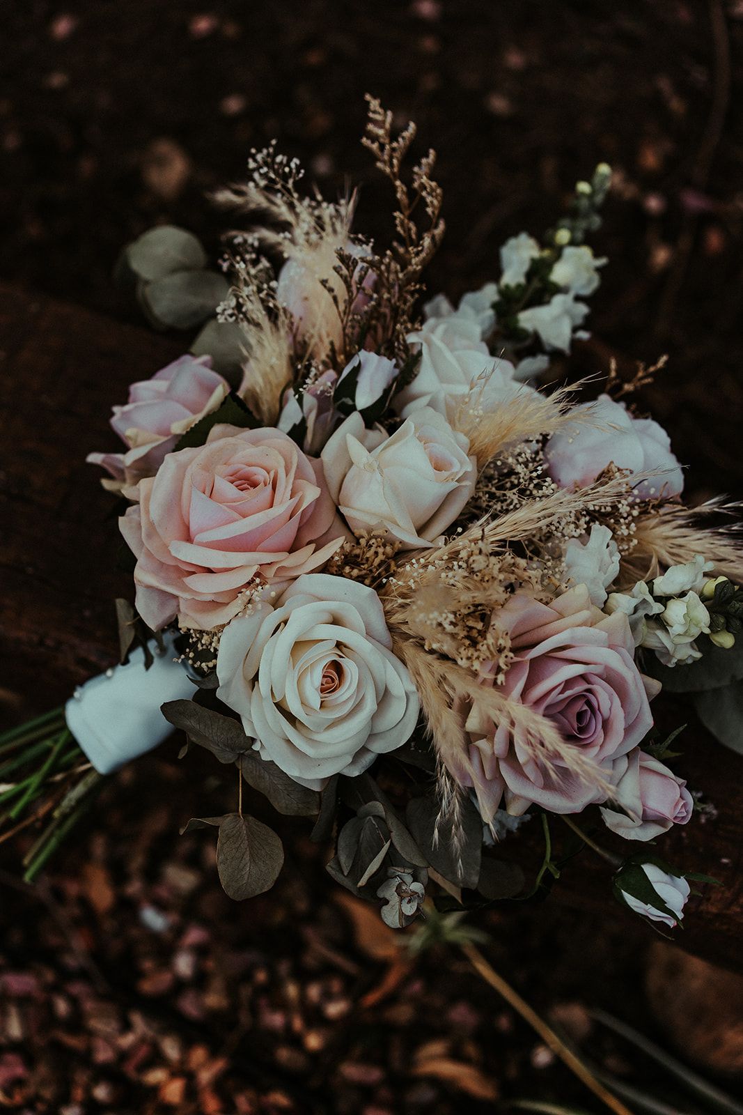 Shannon Stent Images — photo 4 of 18
