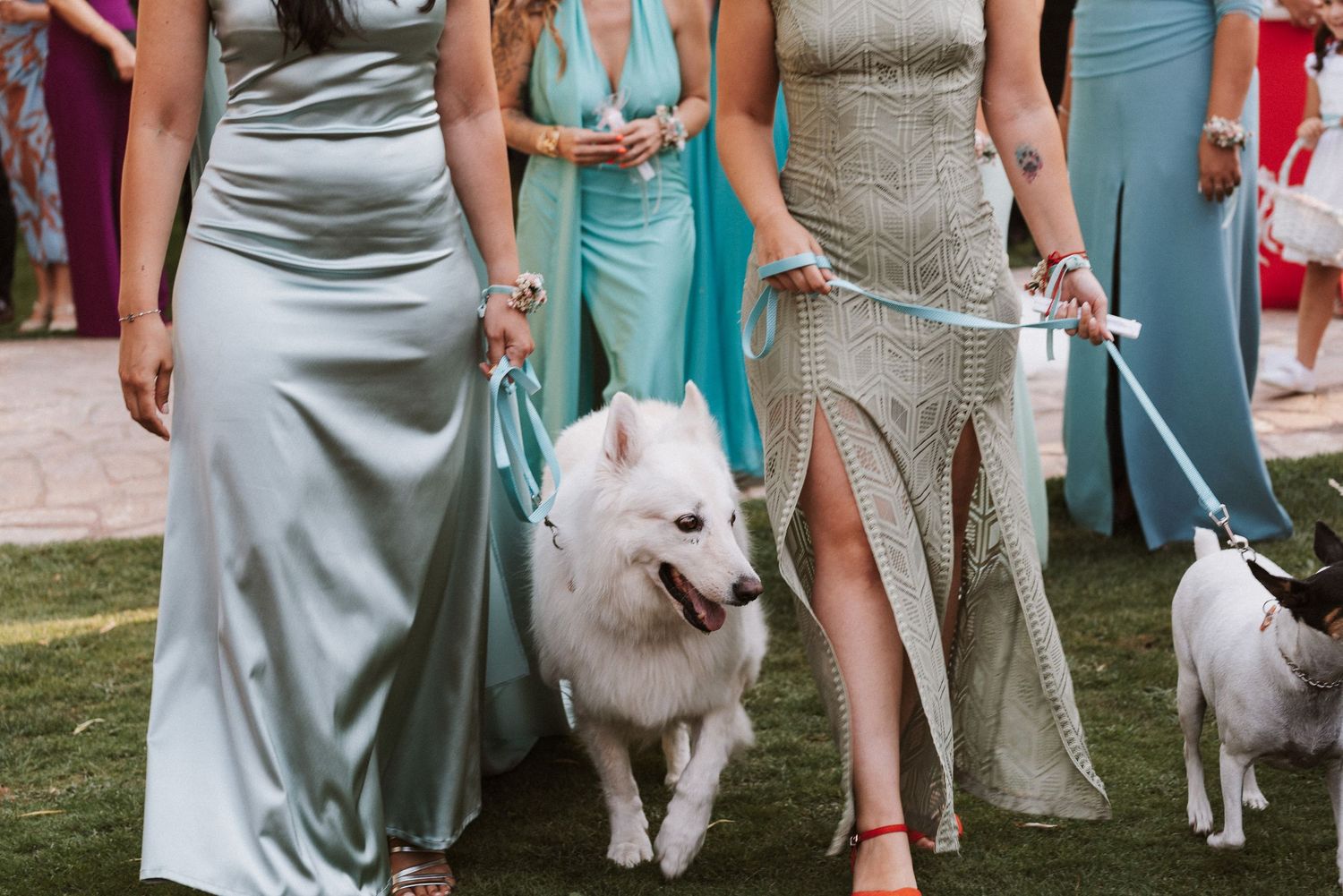 Entrada de los perros a la boda, Molino del Manto, Chinchon