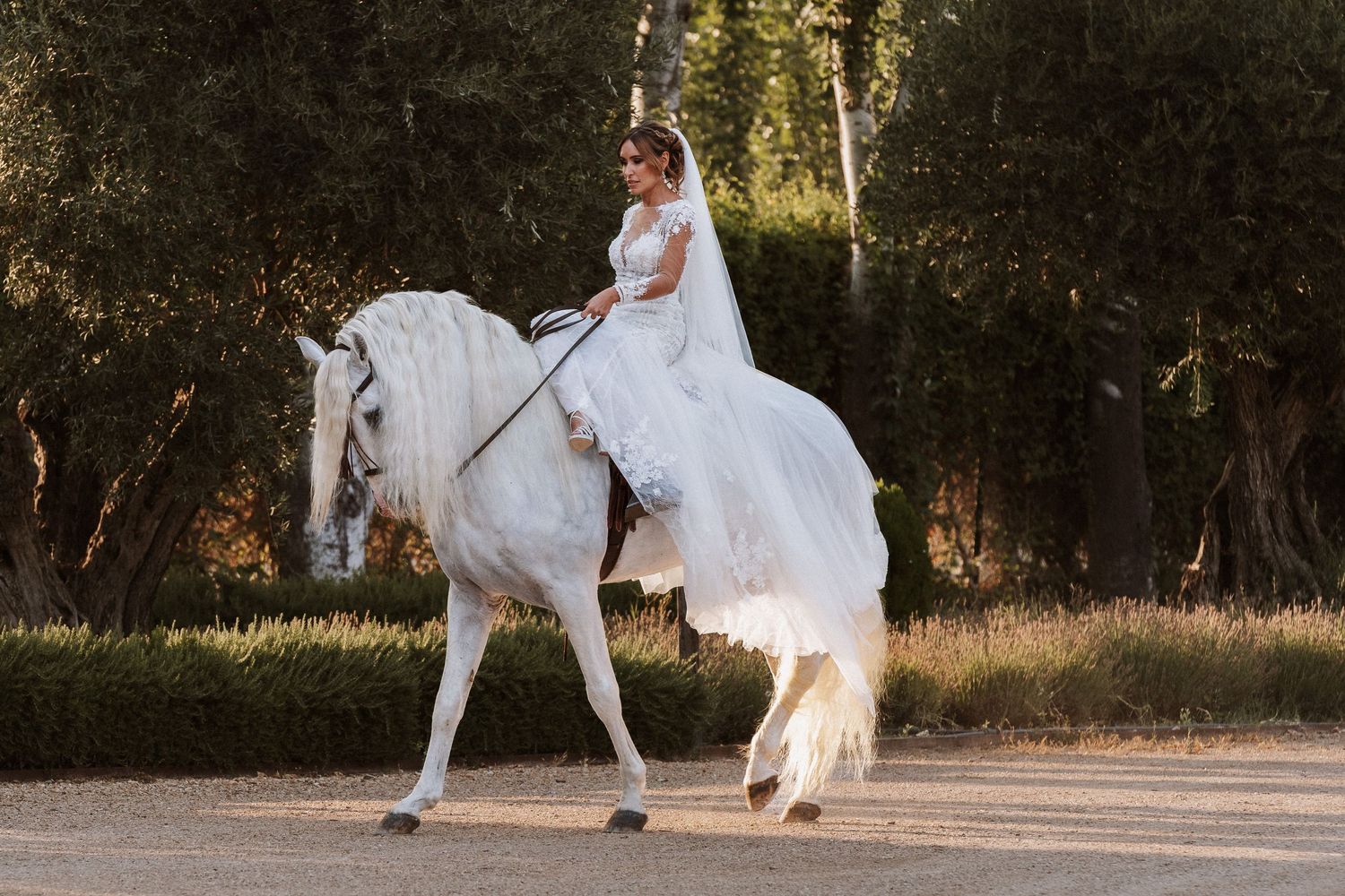 Entrada de la novia a caballo, Molino del Manto
