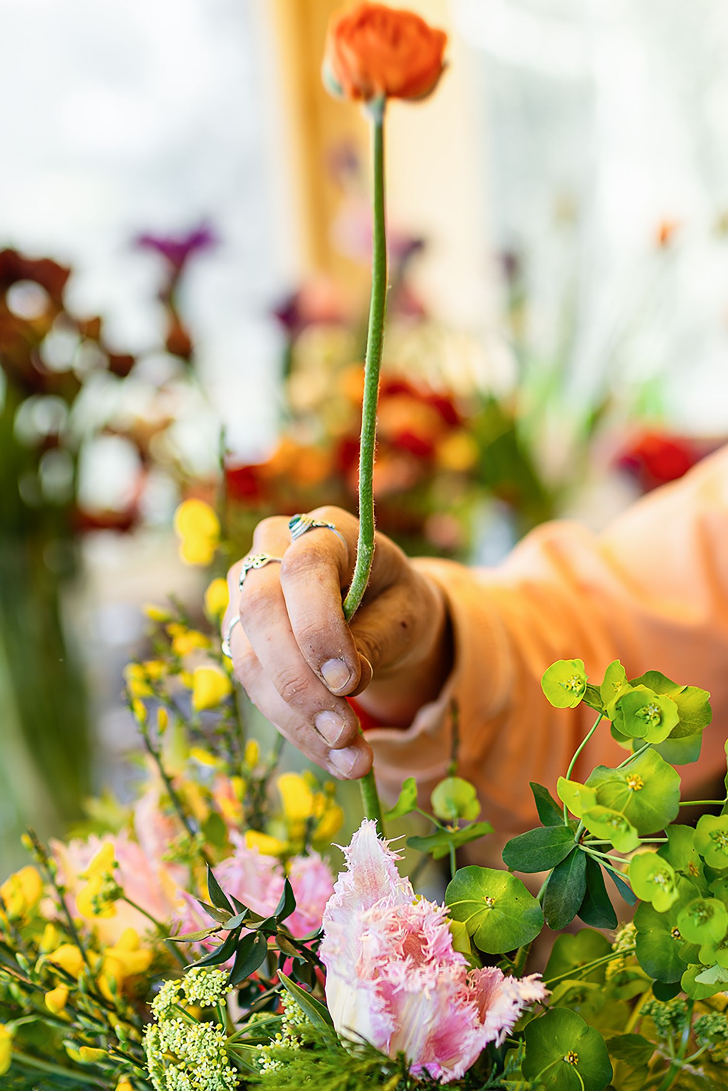 Floricultrice en pleine activité dans sa serre, travail artisanal des fleurs