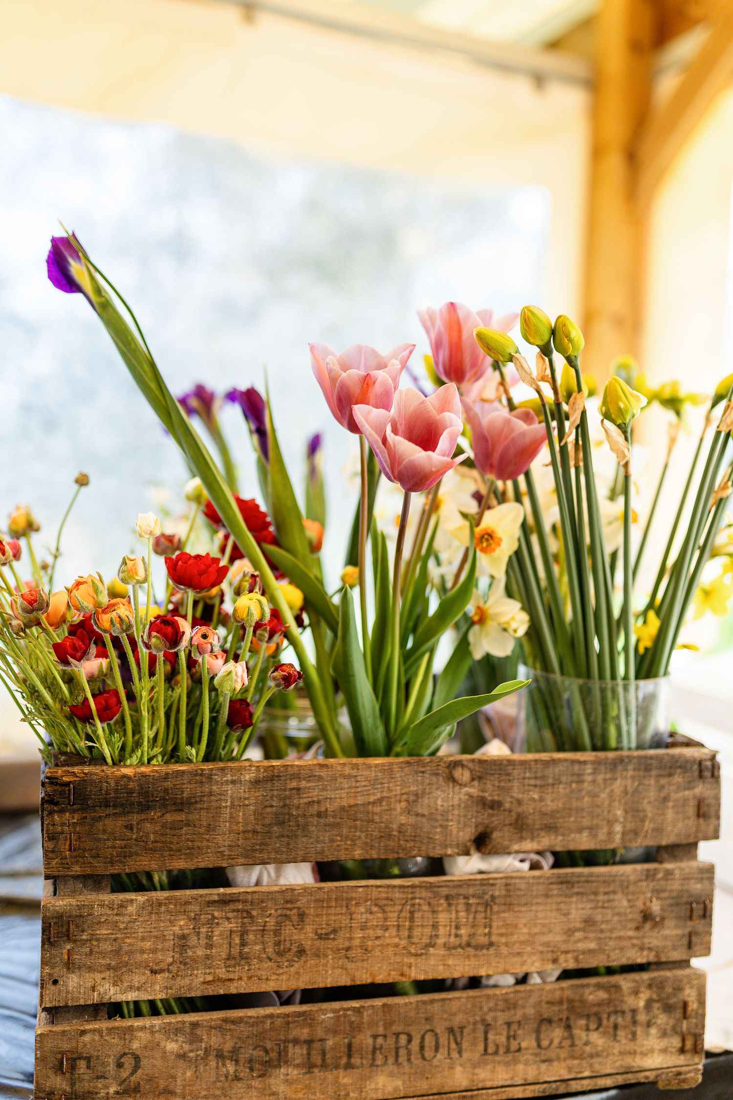 Floricultrice en pleine activité dans sa serre, travail artisanal des fleurs