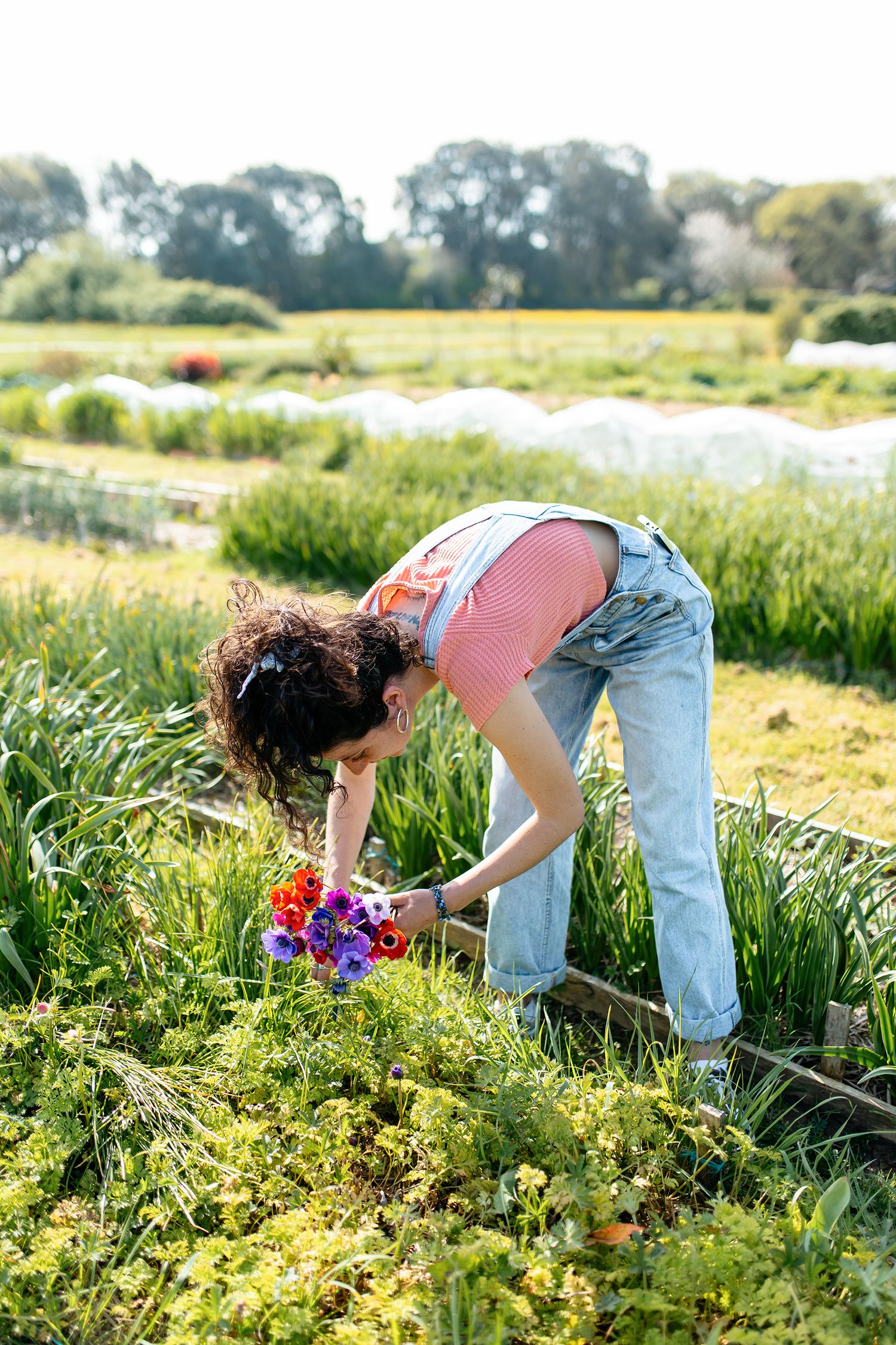 Floricultrice en pleine activité dans sa serre, travail artisanal des fleurs