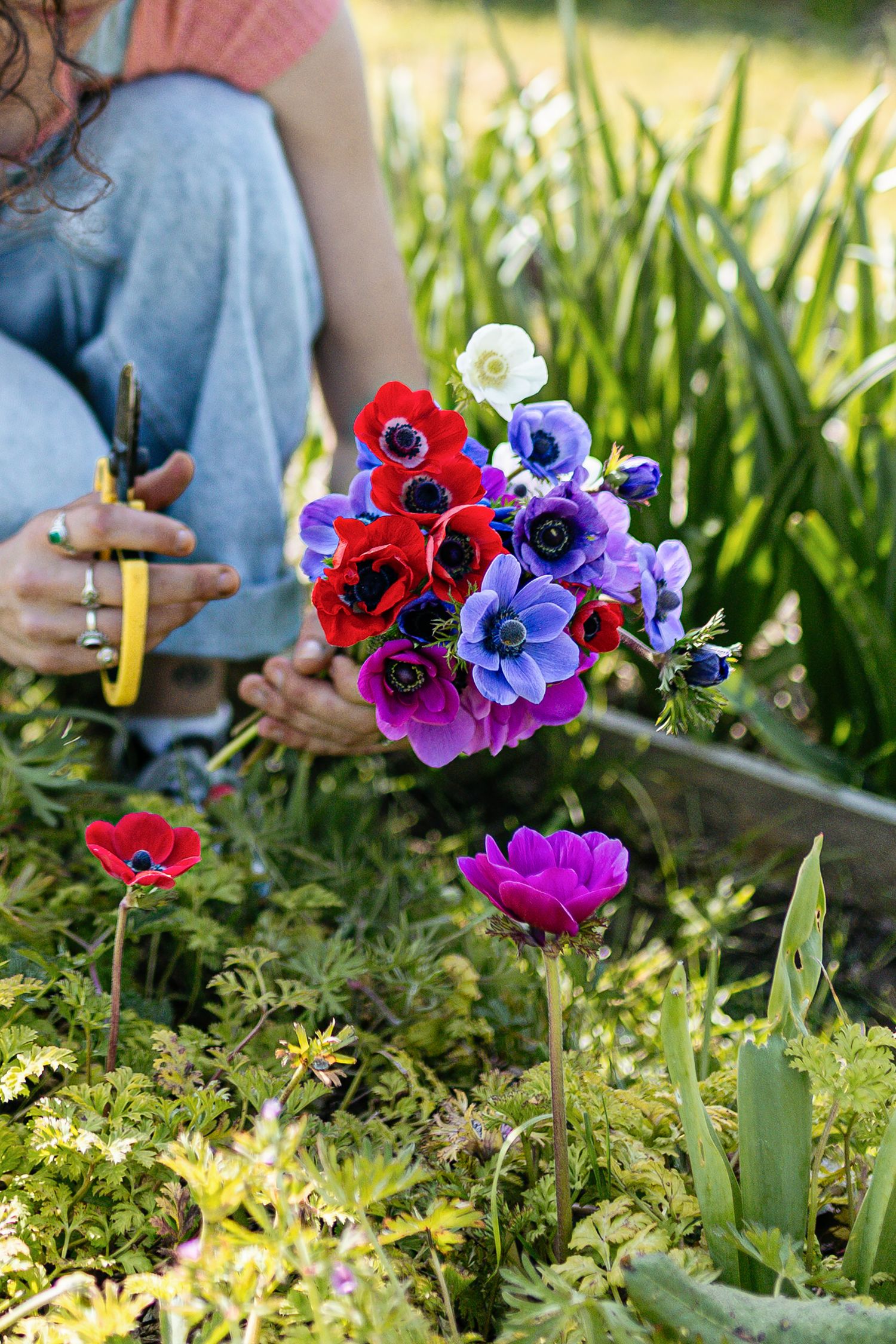 Floricultrice en pleine activité dans sa serre, travail artisanal des fleurs