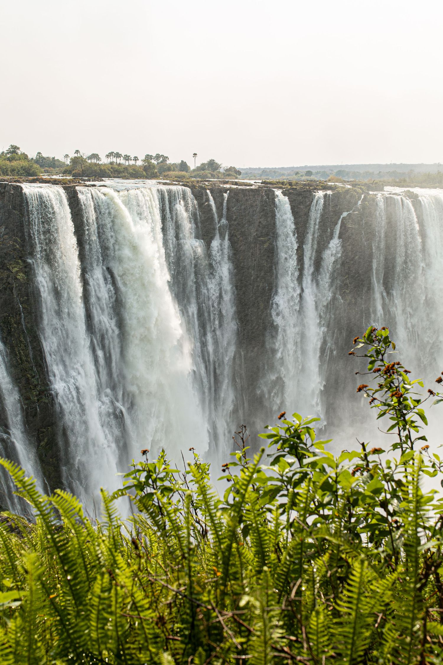 Photo d’une cascade en Afrique du Sud, eau s'écoulant majestueusement dans un paysage naturel verdoyant et spectaculaire.