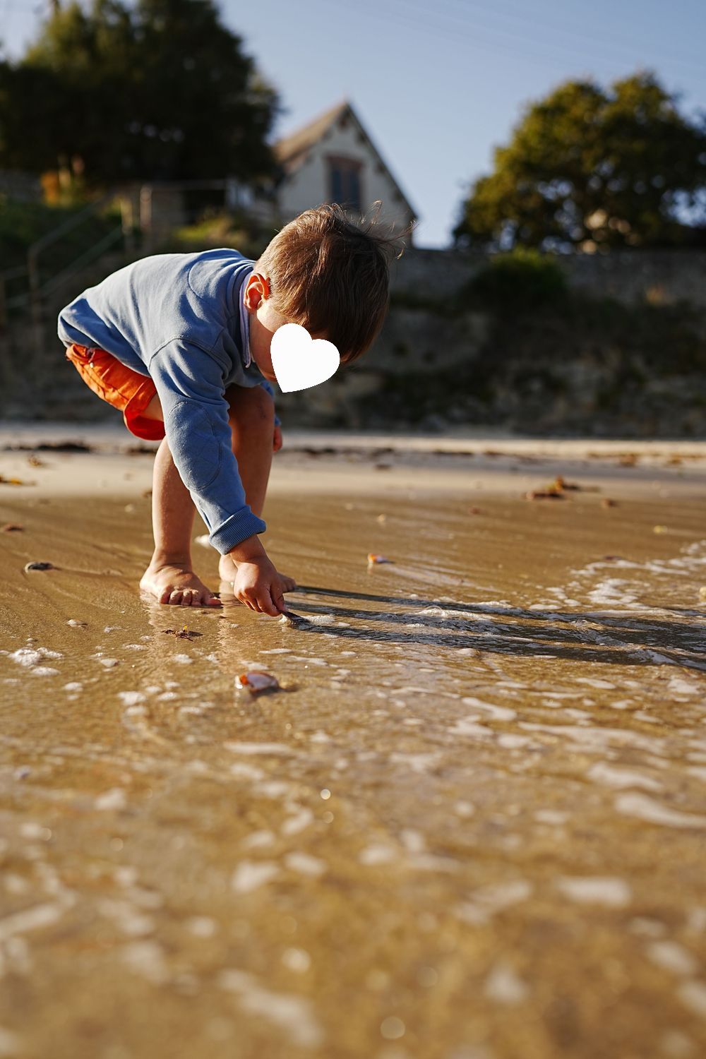 A child in blue shorts bends down to explore the sandy beach at low tide during a sunny day.