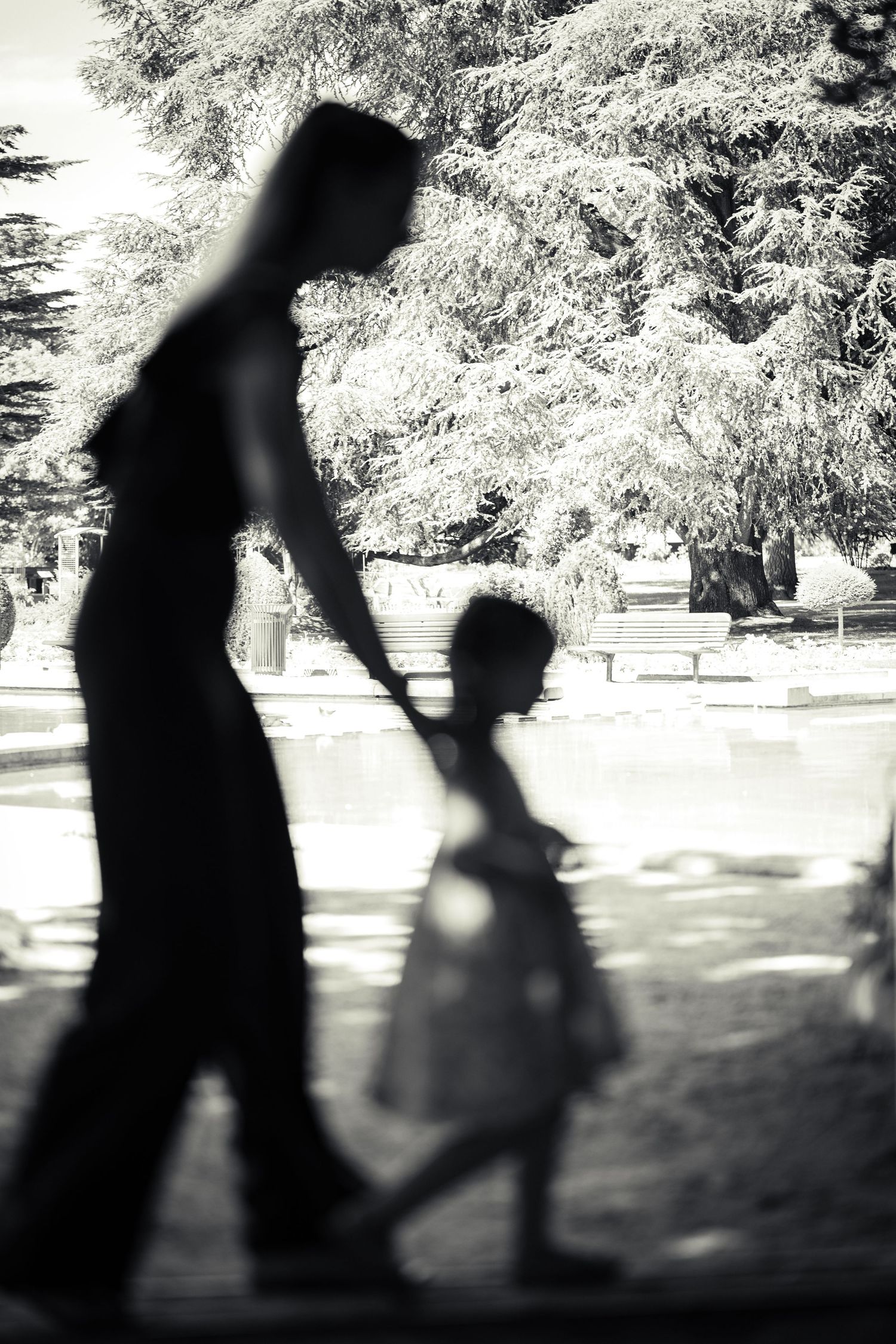 Black and white silhouette of two figures walking together on a path beneath trees.