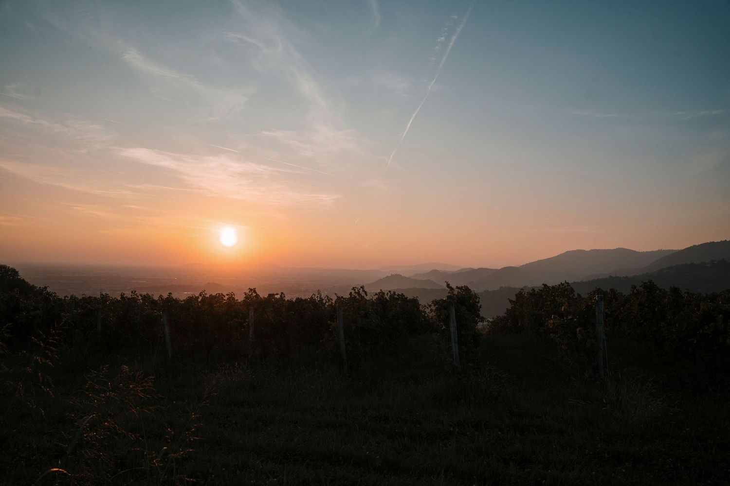 Scenic sunset over rolling vineyard hills with warm orange sky and distant mountains.