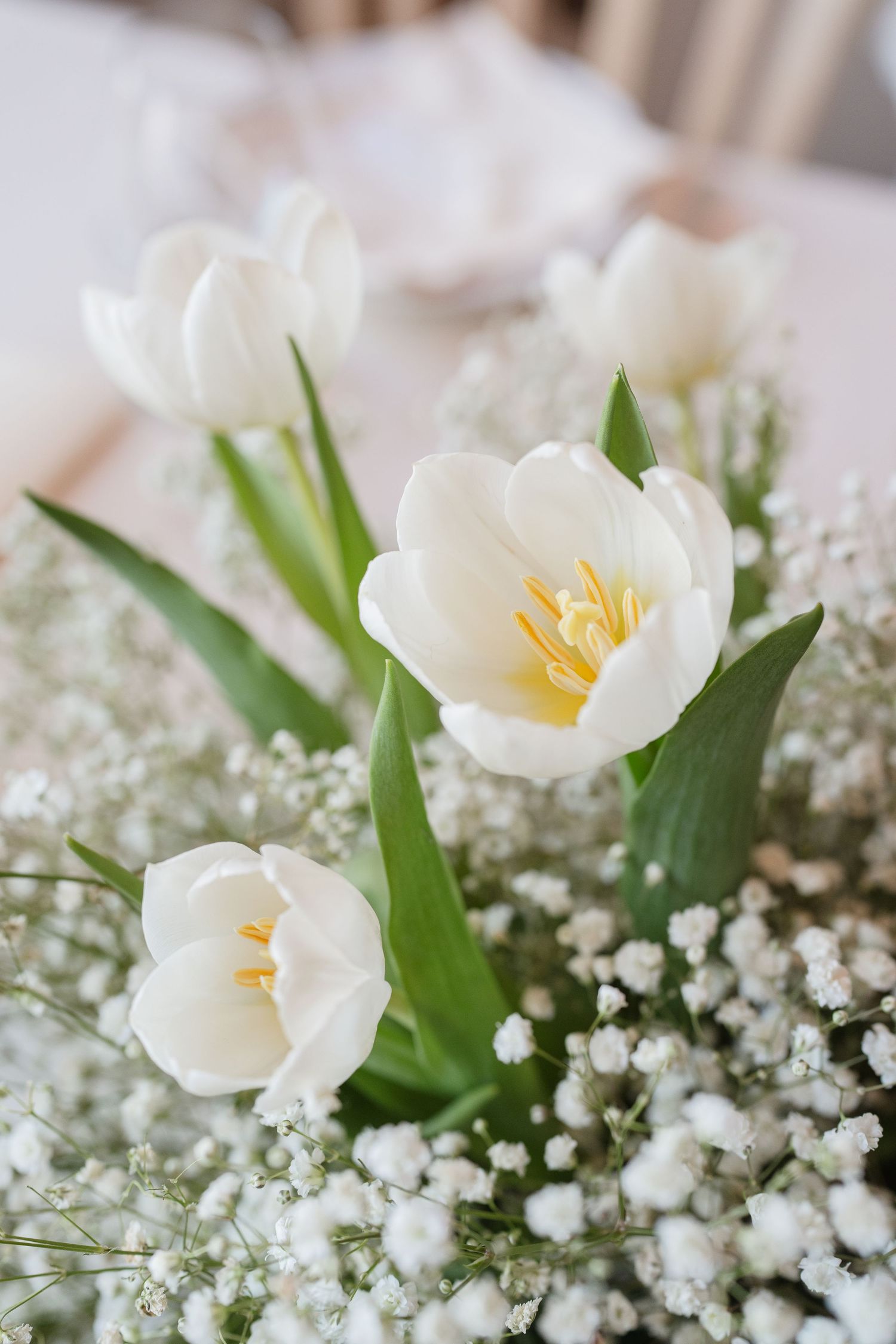 Close-up of elegant white tulips and baby's breath wedding floral arrangement centerpiece.