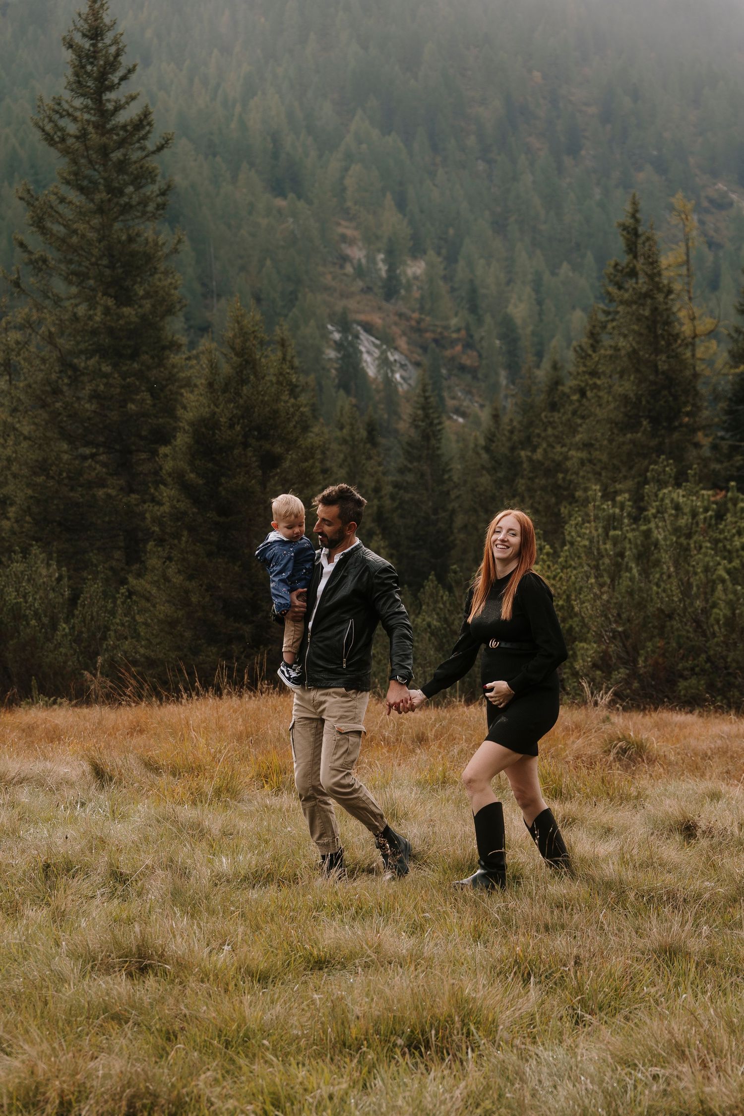 Family walking in alpine meadow, father carrying toddler while holding hands with mother.