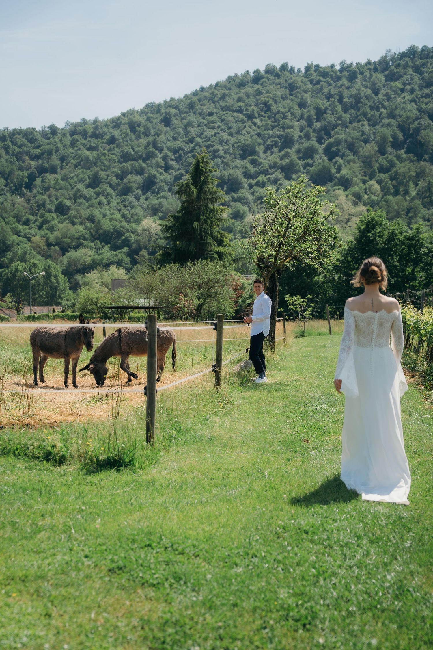 Una sposa in abito di pizzo con scollo a spalle scoperte è in piedi su un prato verde, mentre lo sposo si avvicina ad alcuni asini