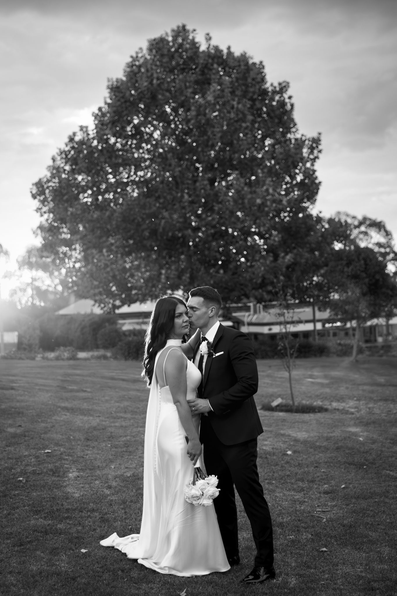 A romantic black and white wedding photo of a couple kissing under a large tree at sunset.