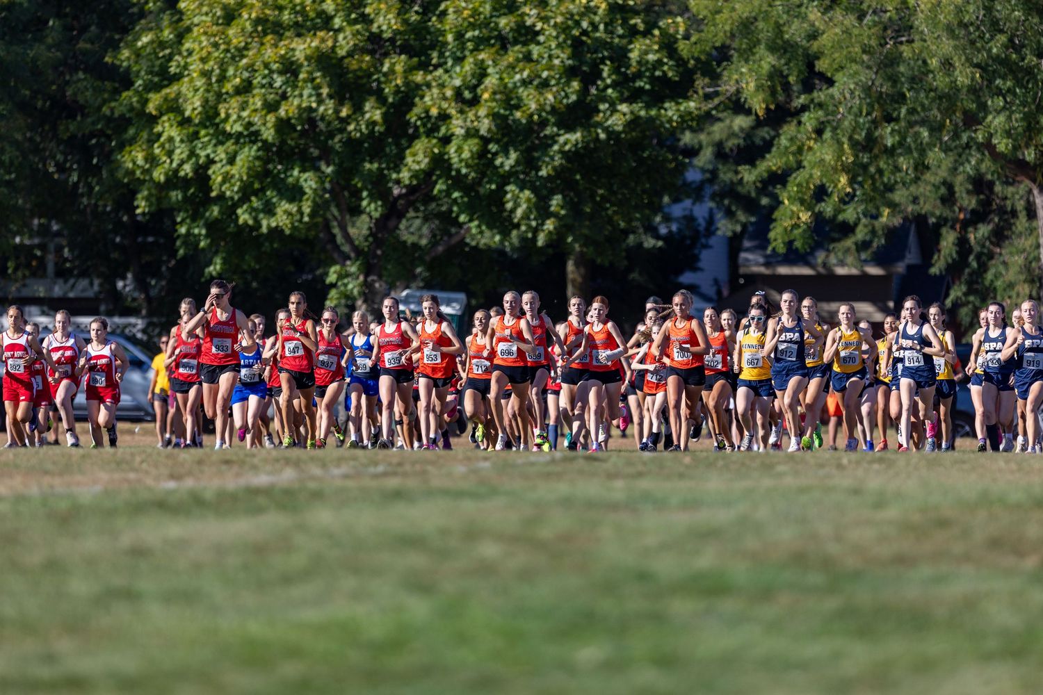 Farmington Tigers girls cross country team pushes ahead of the pack to start their race