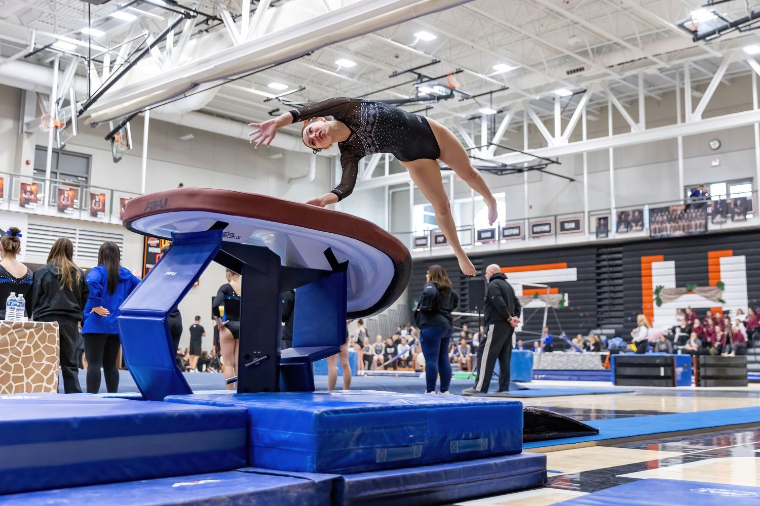 Farmington Tigers Gymnast gets ready to launch off the vault