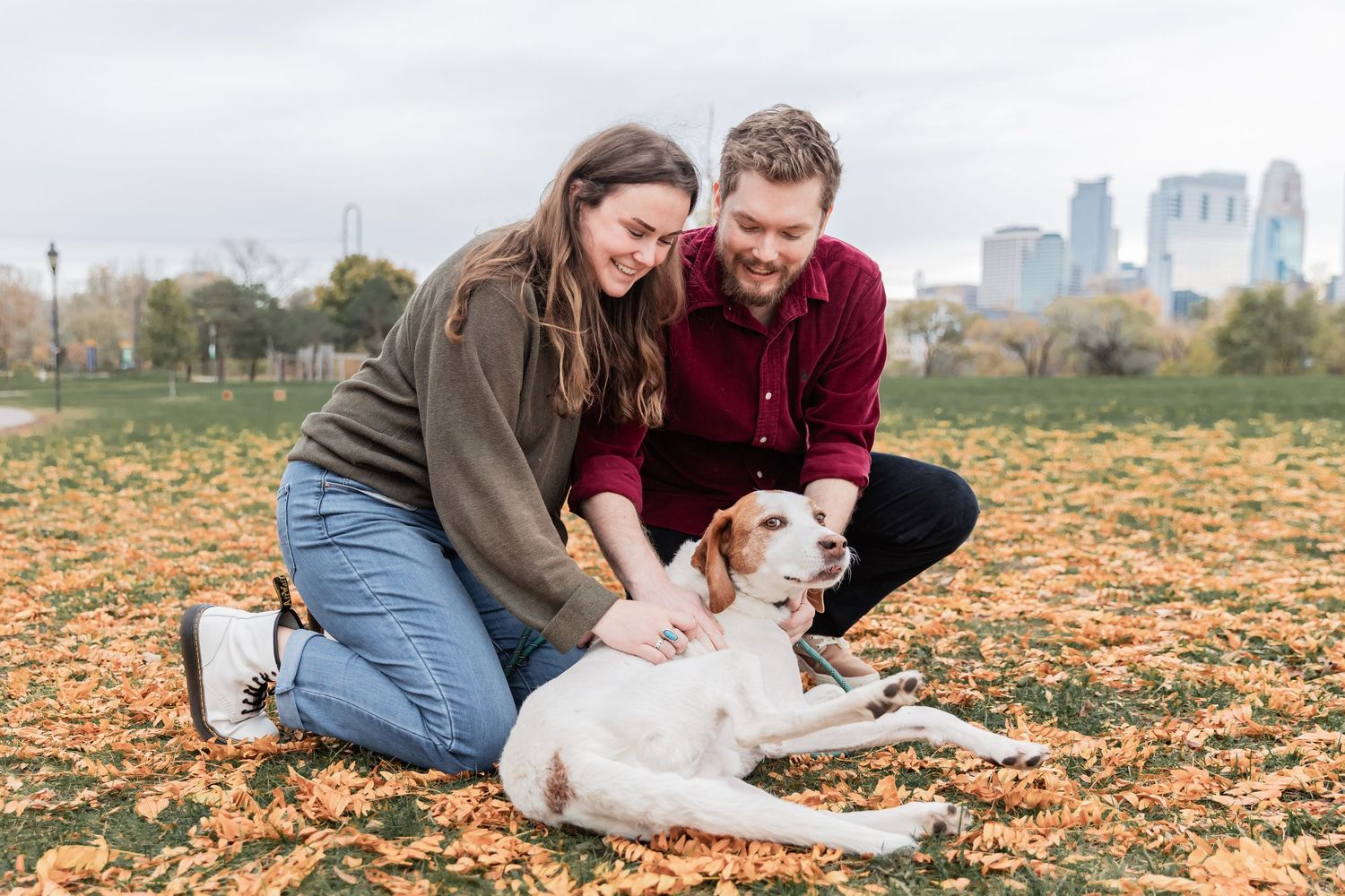 Young couple leans down in a pile of golden leaves and gives their Brittany Spaniel some playful belly rubs at Boom Island Park