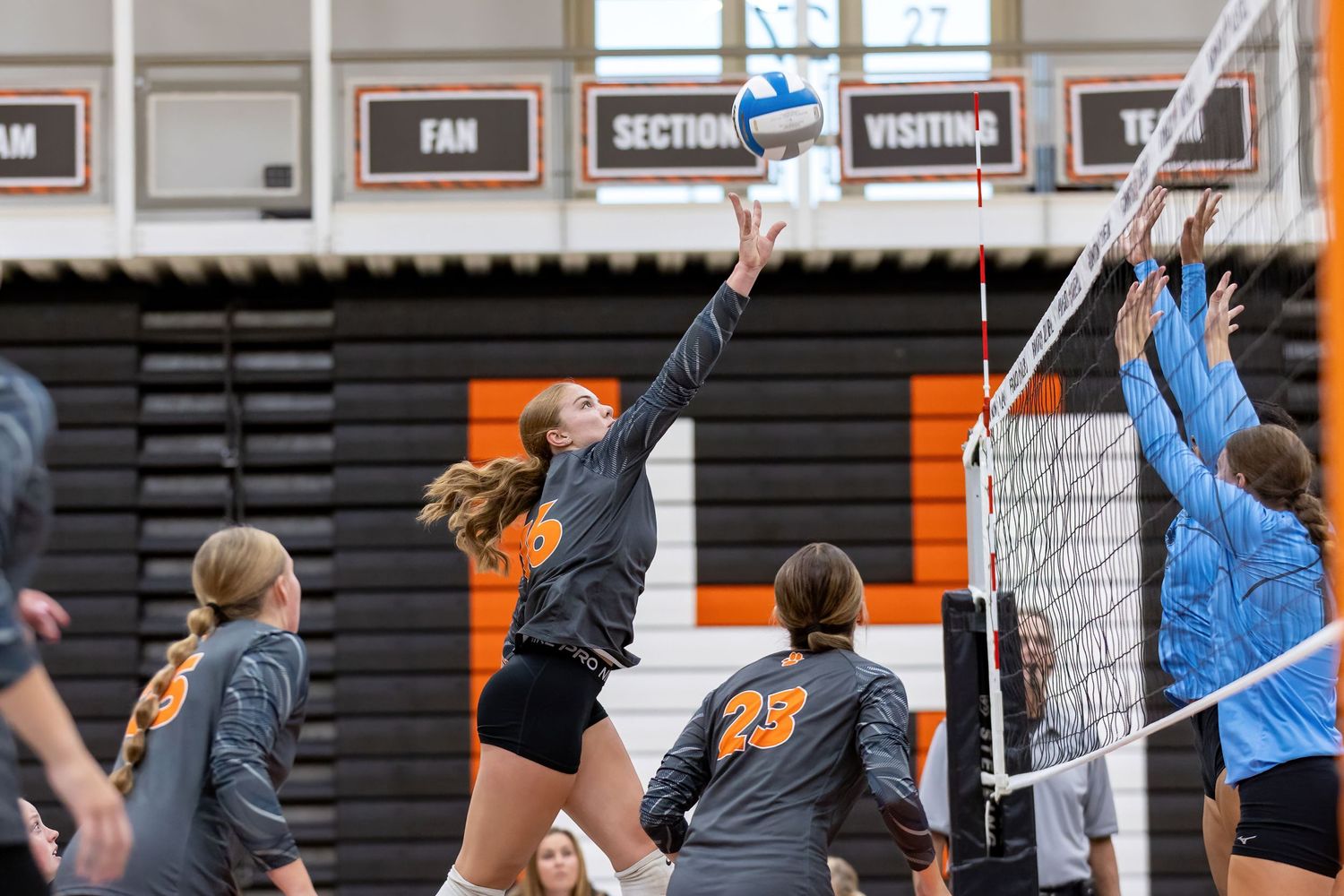 Farmington Tigers volleyball player jumps up to block the opponents attempt