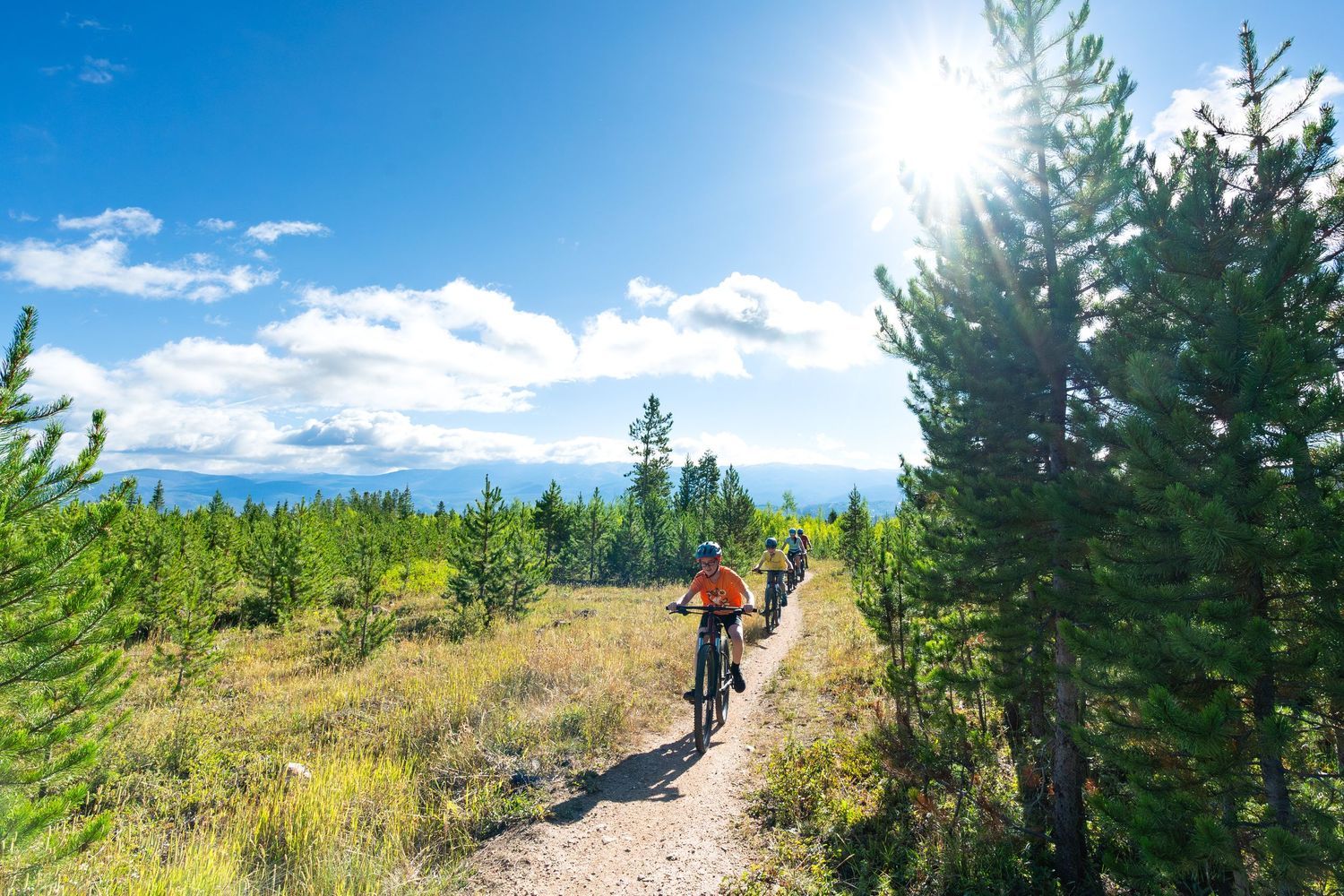 Mountain bikers riding along scenic trail with evergreen forest and blue sky.