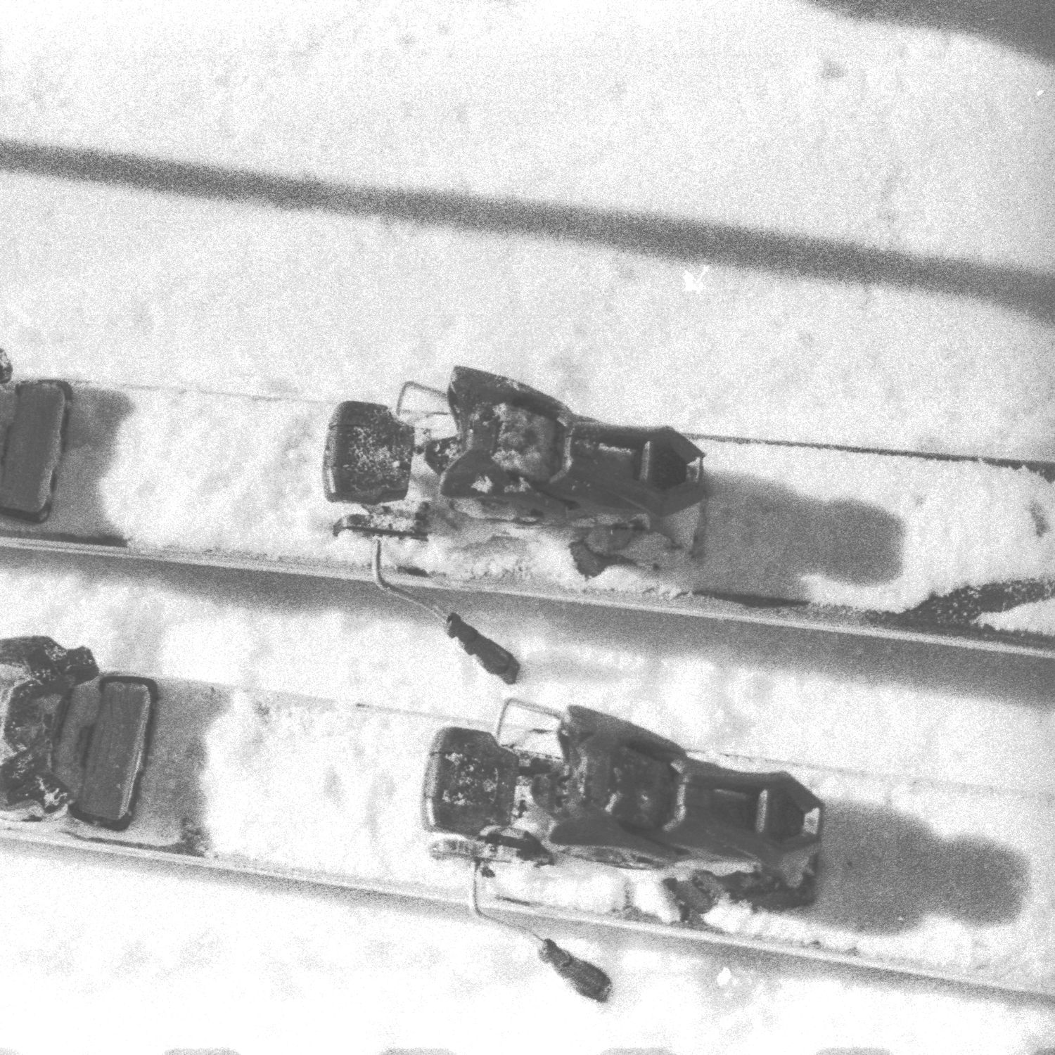 Close-up black and white photo of ski bindings mounted on snow-covered skis.