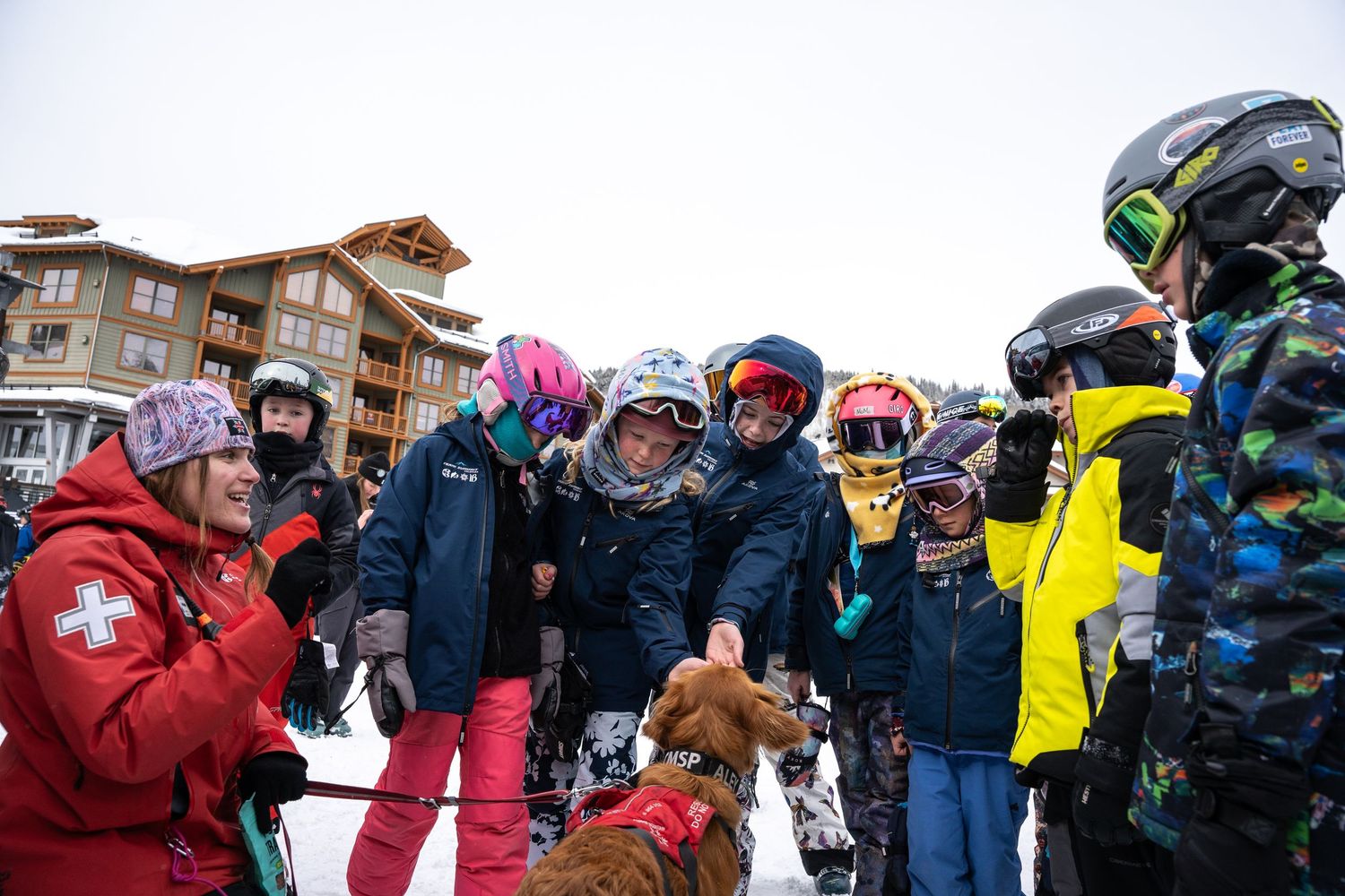 A group of winter sports enthusiasts gather around a rescue dog during a mountain safety demonstration.