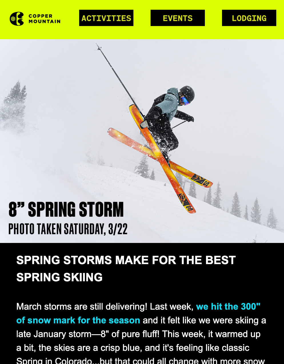 Skier catching air during spring storm with snowy mountain landscape in background.