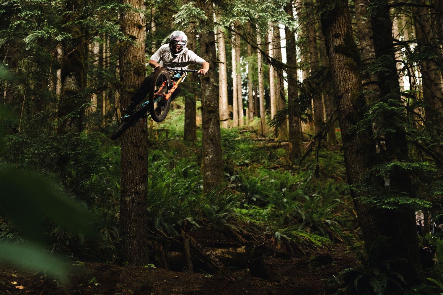 Mountain biker jumps through forest with sunlight filtering through dense pine trees.