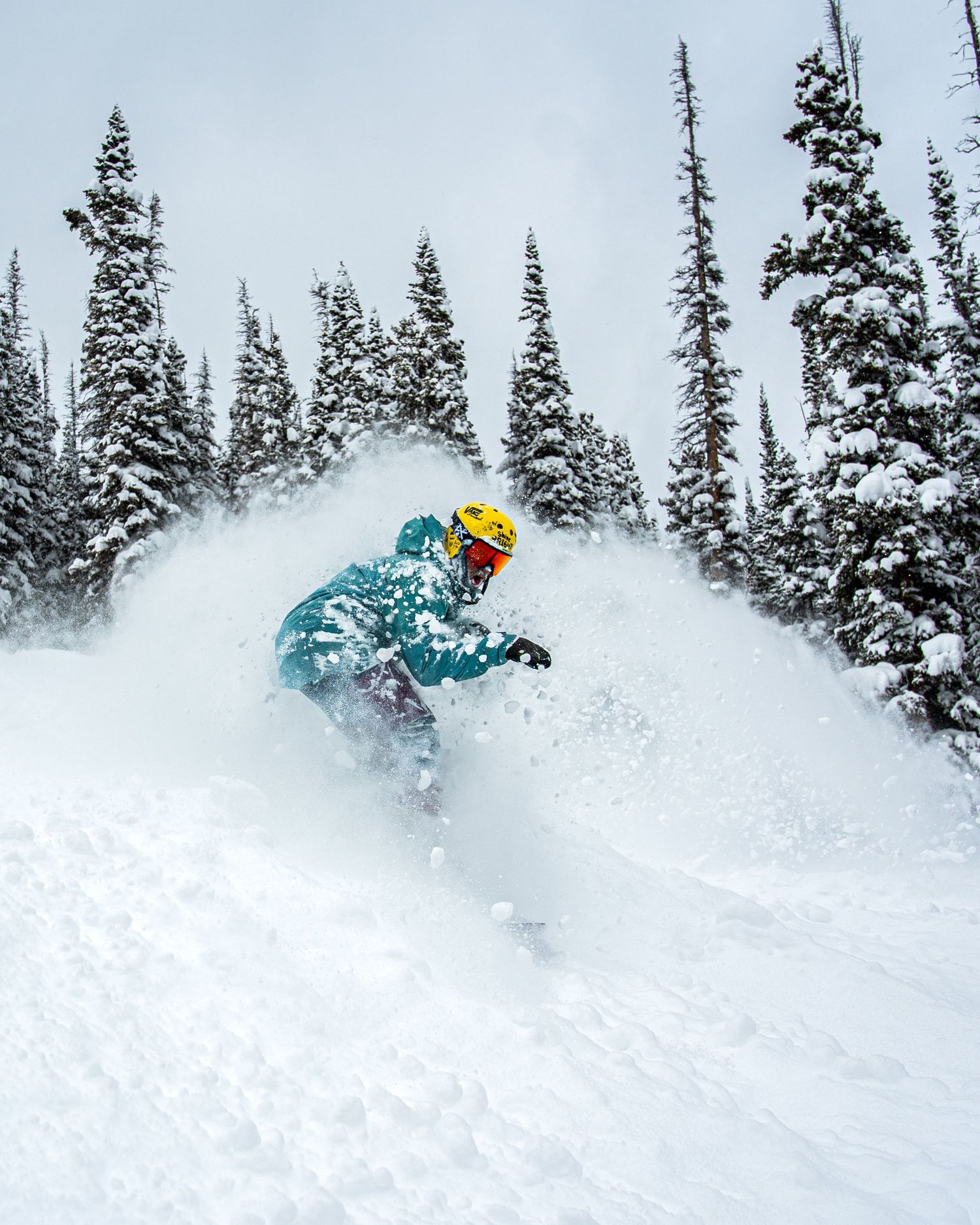 Skier carving through deep powder snow amid snow-covered evergreen trees.