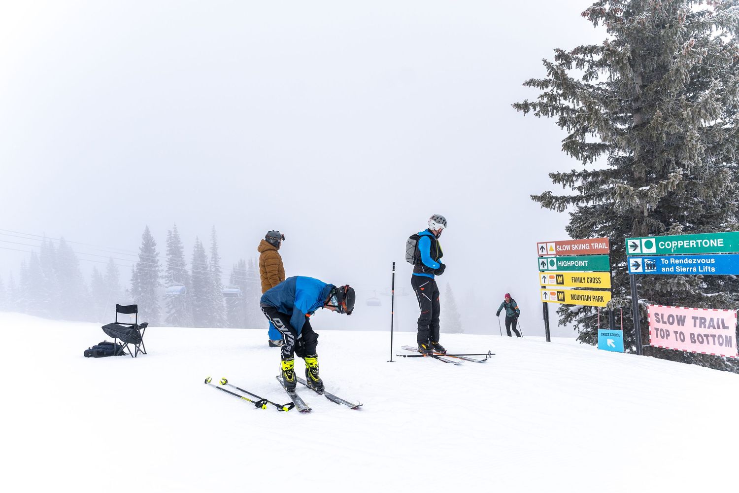 Skiers navigate a foggy slope with trail signs and snow-covered pine trees.