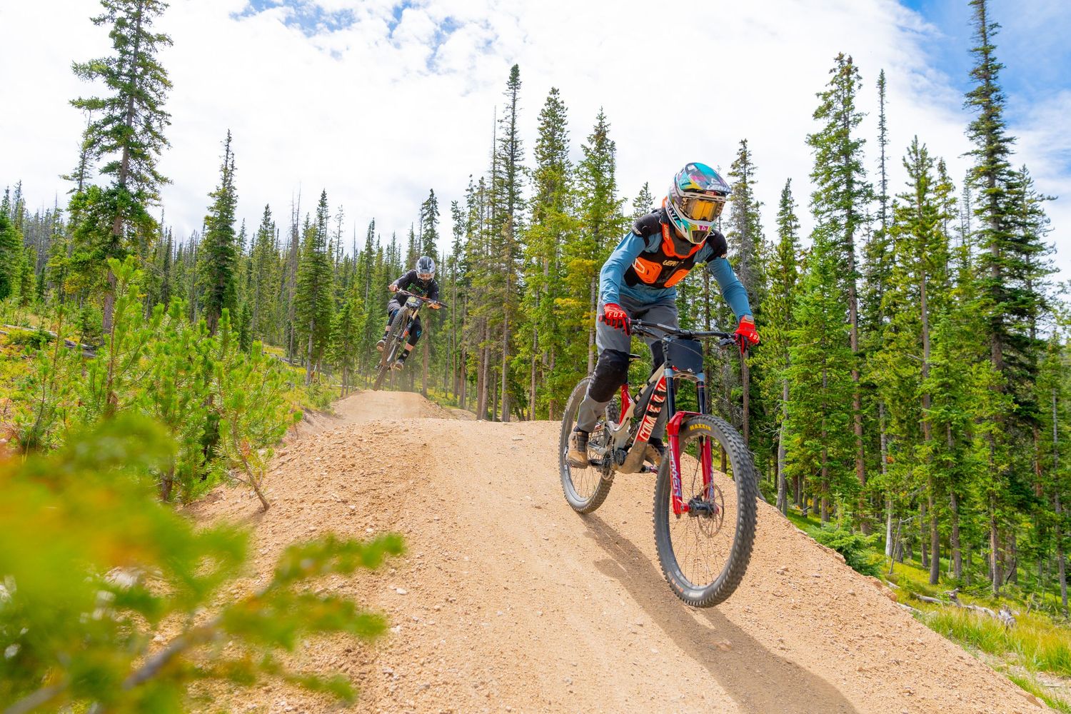 Mountain biker riding a dirt trail through dense evergreen forest on a sunny day.