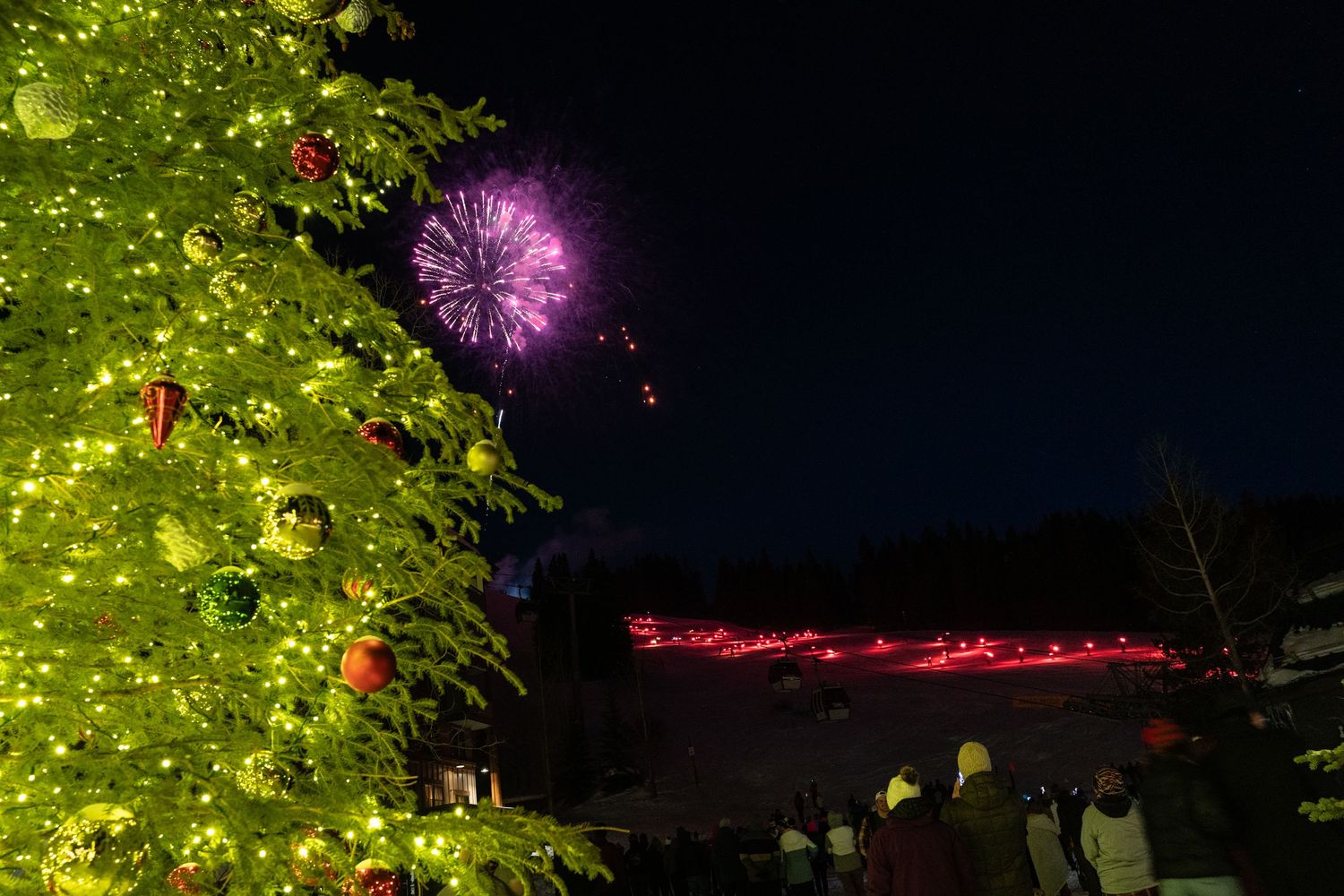 Illuminated Christmas tree with fireworks display against dark night sky.