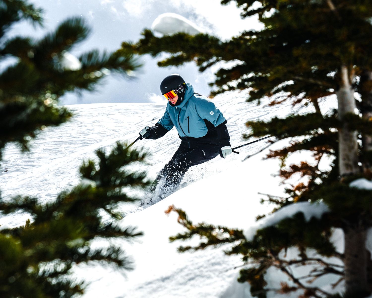 Skier navigating through powder snow between evergreen trees on a mountain slope.