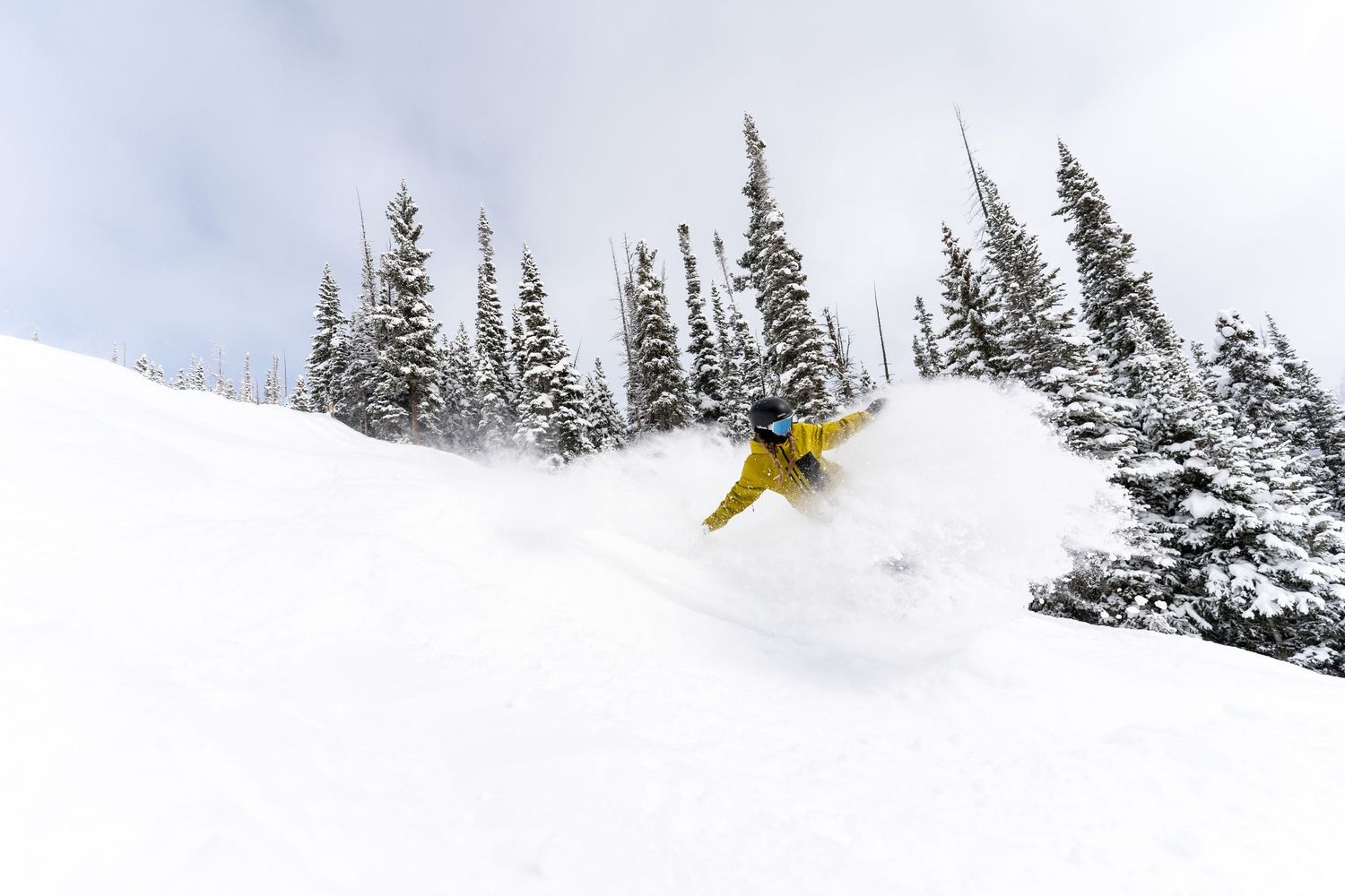 Snowboarder in bright yellow performs aerial maneuver above snow-covered evergreen trees.