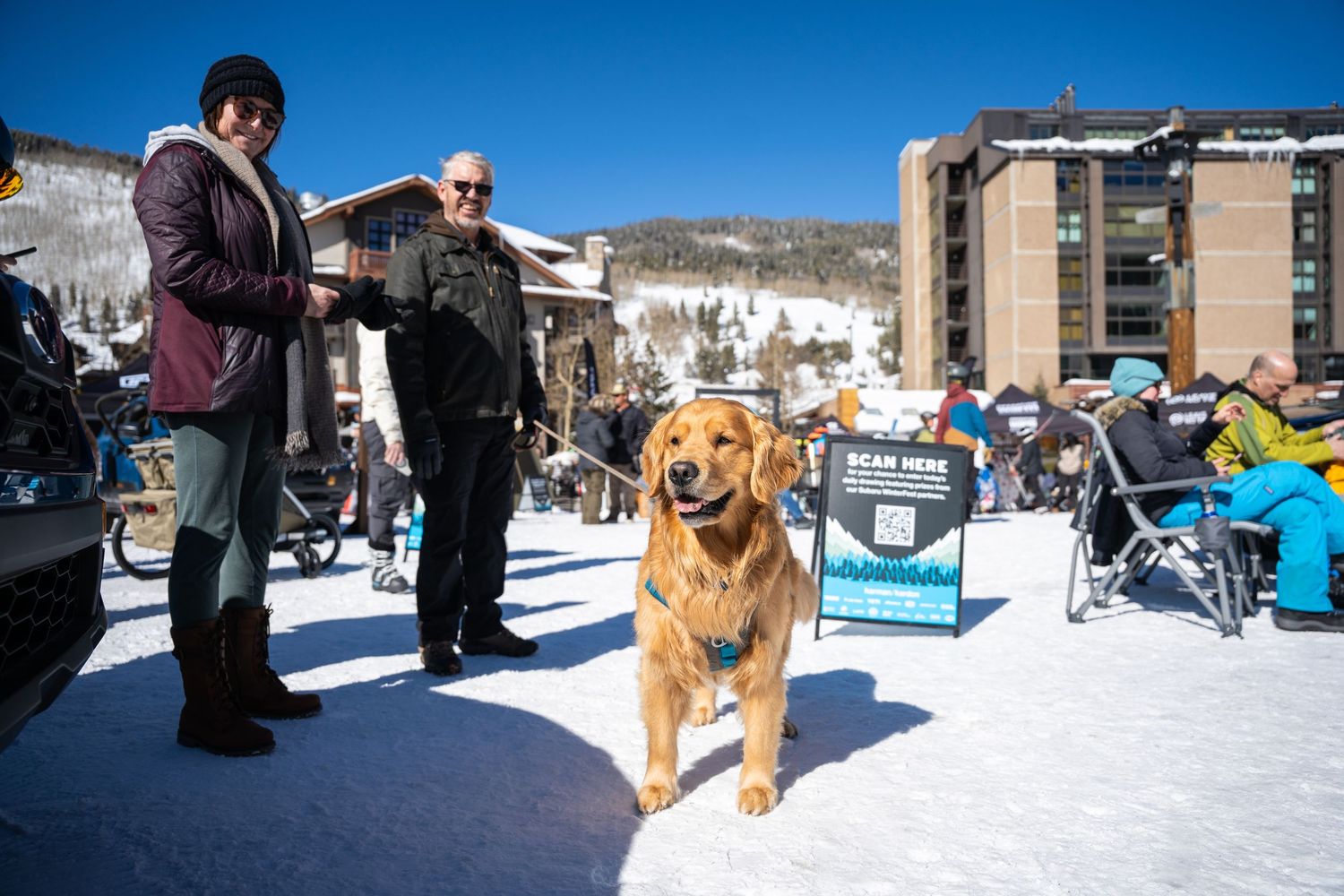 Golden retriever standing in snow while people gather at winter festival.
