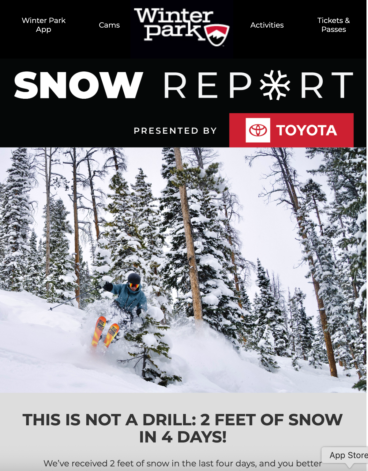 Skier carving through deep powder snow among pine trees in winter mountain landscape.