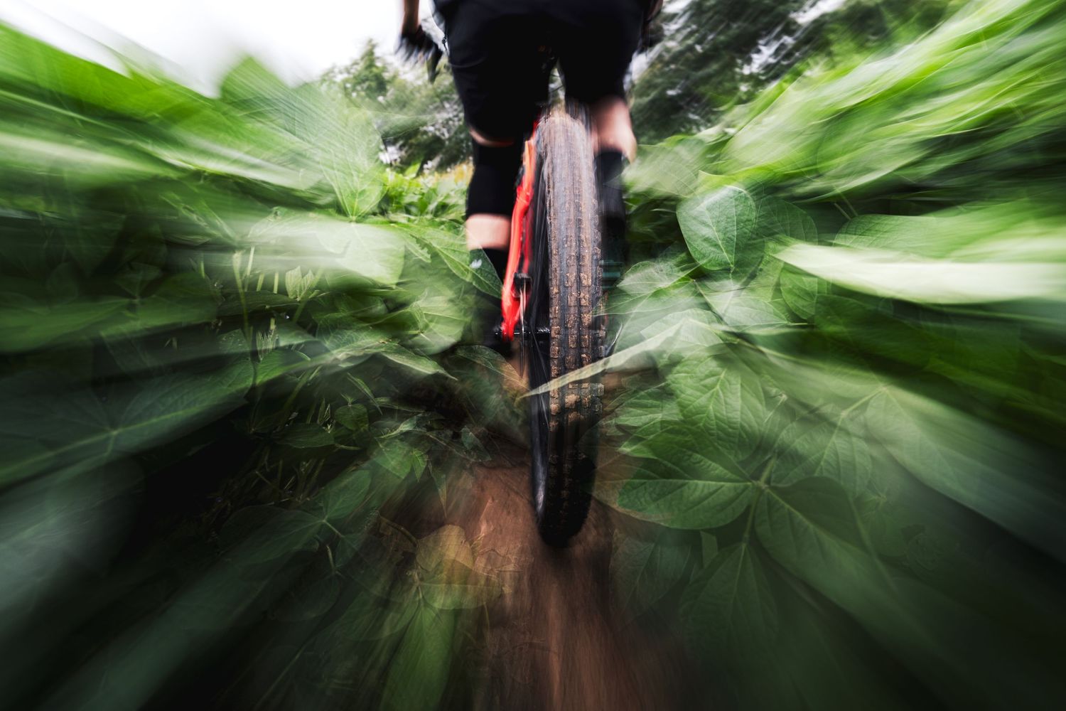 Mountain bike wheel in motion creates dynamic blur effect on a forest trail with green foliage.