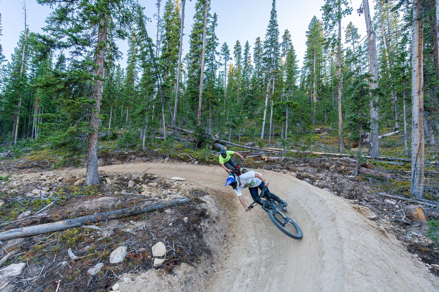 Mountain biker riding curved dirt trail through pine forest clearing.