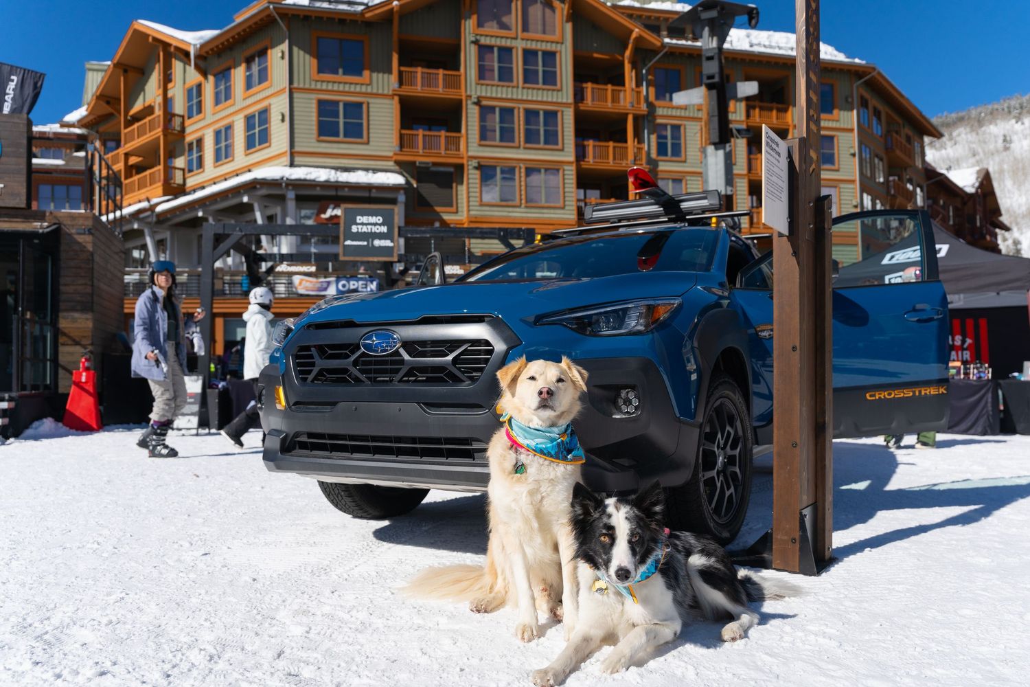 Two dogs sitting in snow next to blue SUV at winter resort.