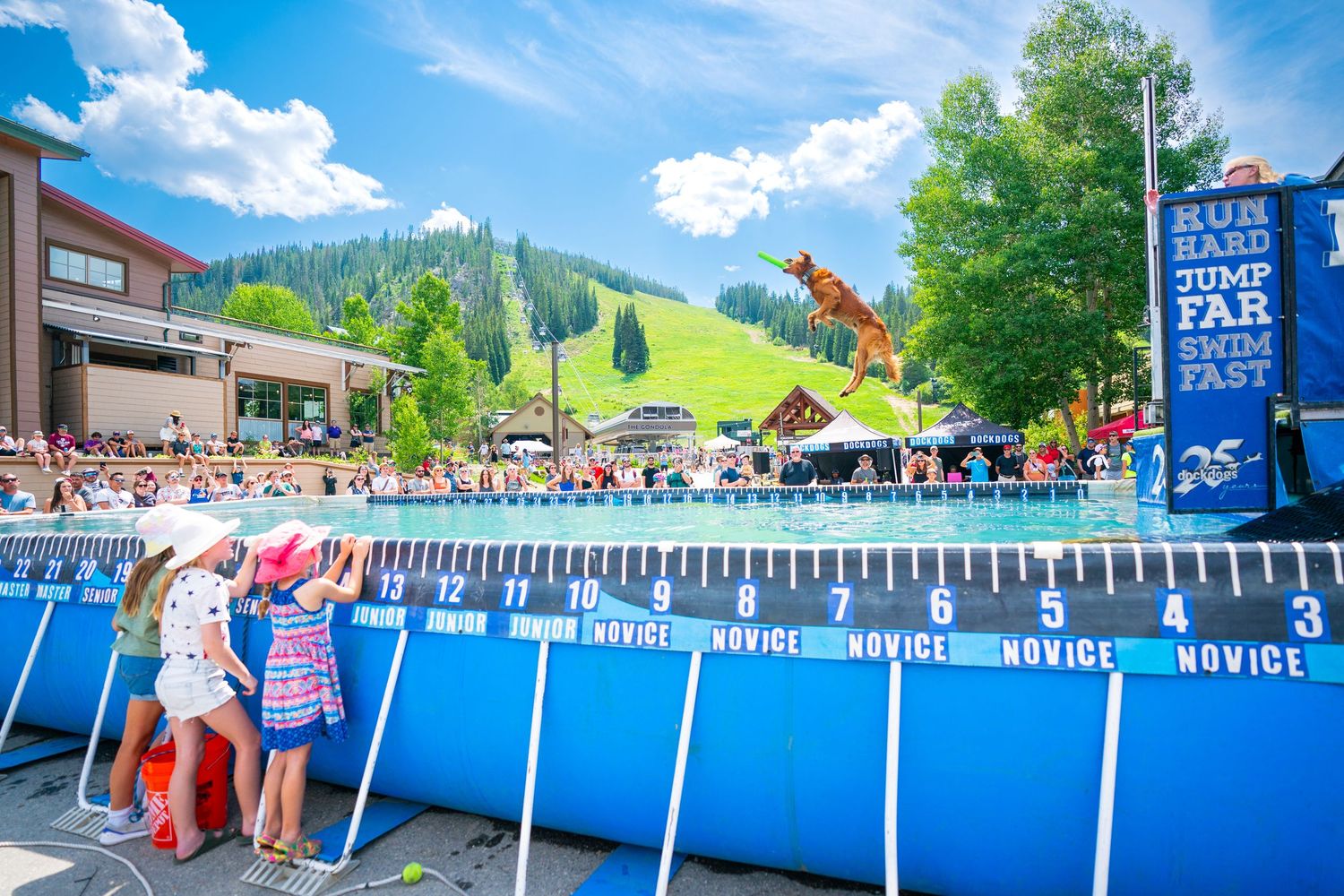 Large blue swimming pool set up outdoors with mountain landscape and trees in the background.