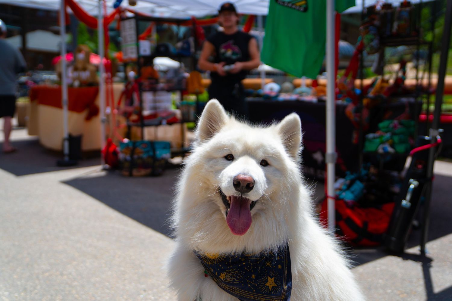 Happy Samoyed dog with a bandana smiling at an outdoor market with vendor tents.