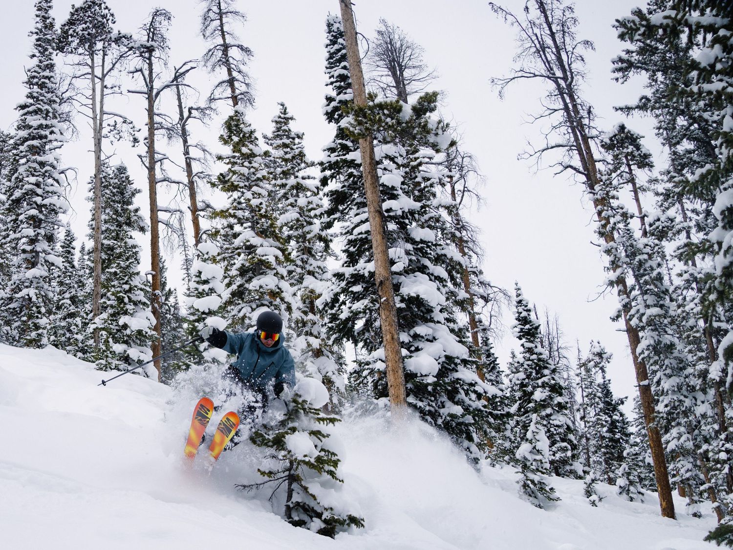 Skier carving through powder snow between snow-covered pine trees.