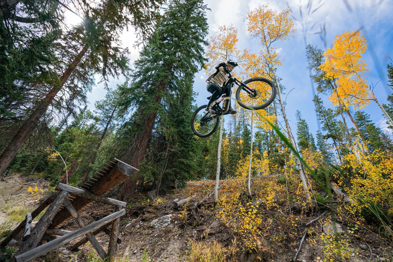 Mountain biker performing aerial stunt against autumn forest with yellow aspen trees.