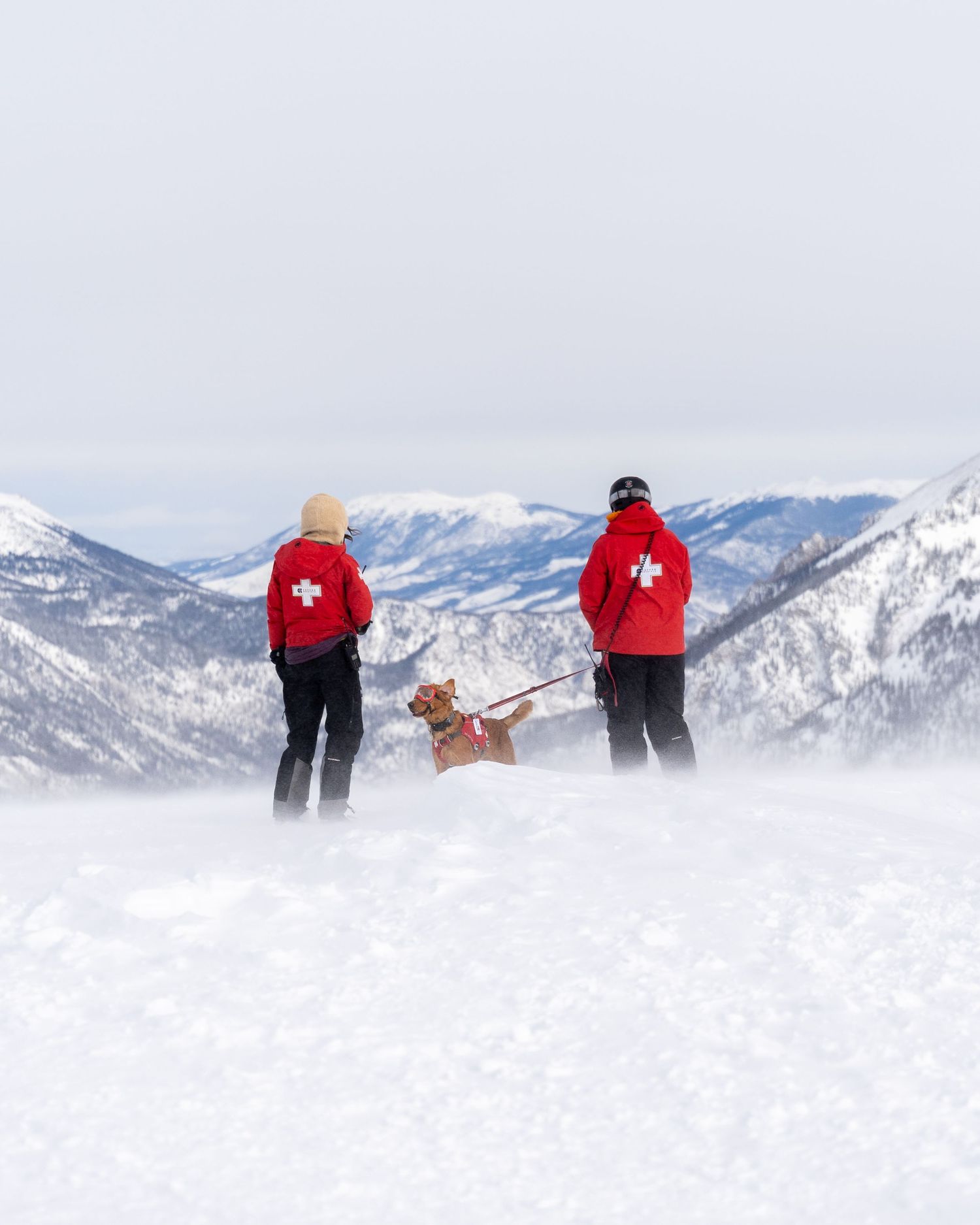 Two ski patrol members in red jackets with crosses stand on a snowy mountain peak with a dog.