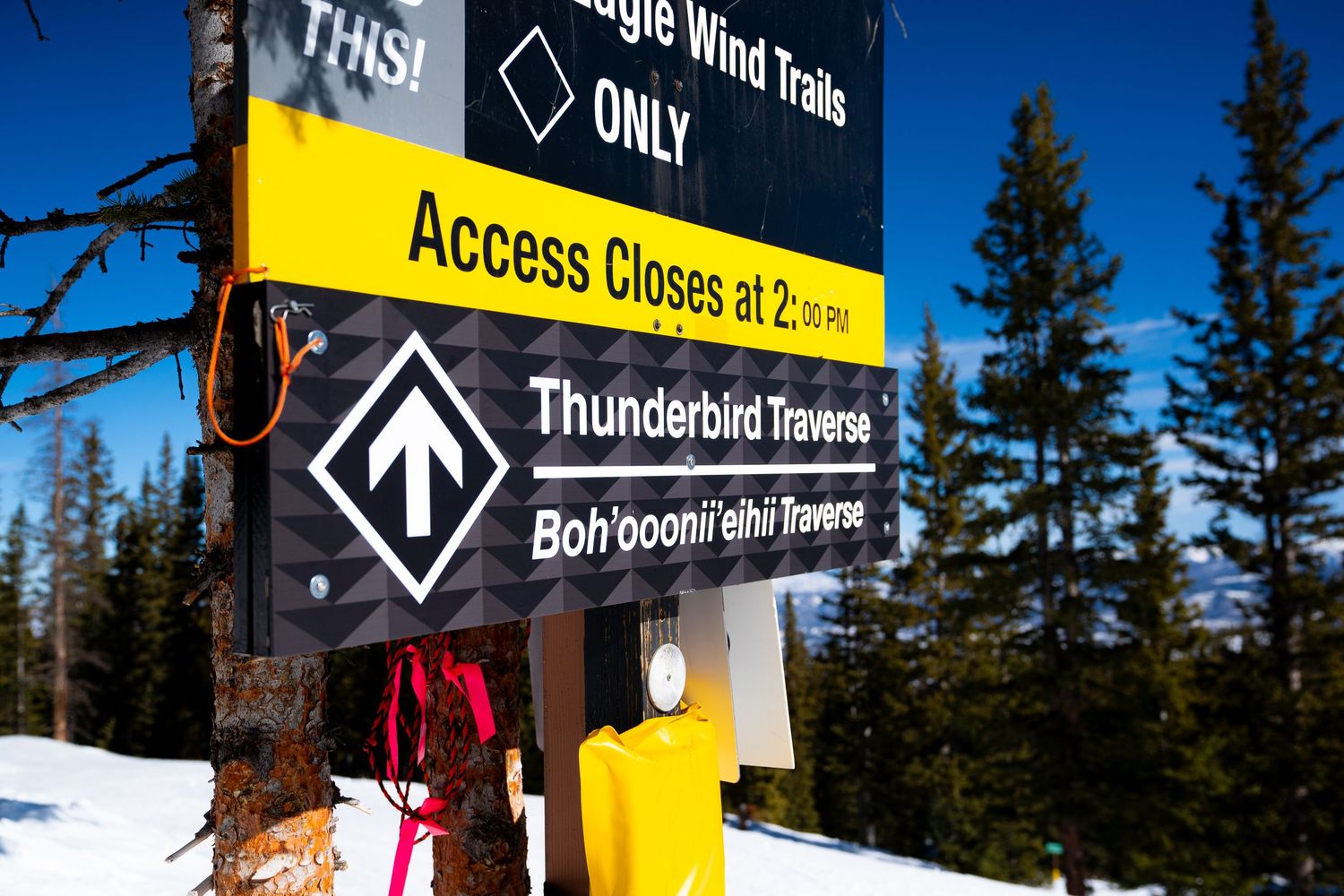 Close-up of ski trail warning sign for Thunderbird Traverse against blue winter sky and evergreen trees.