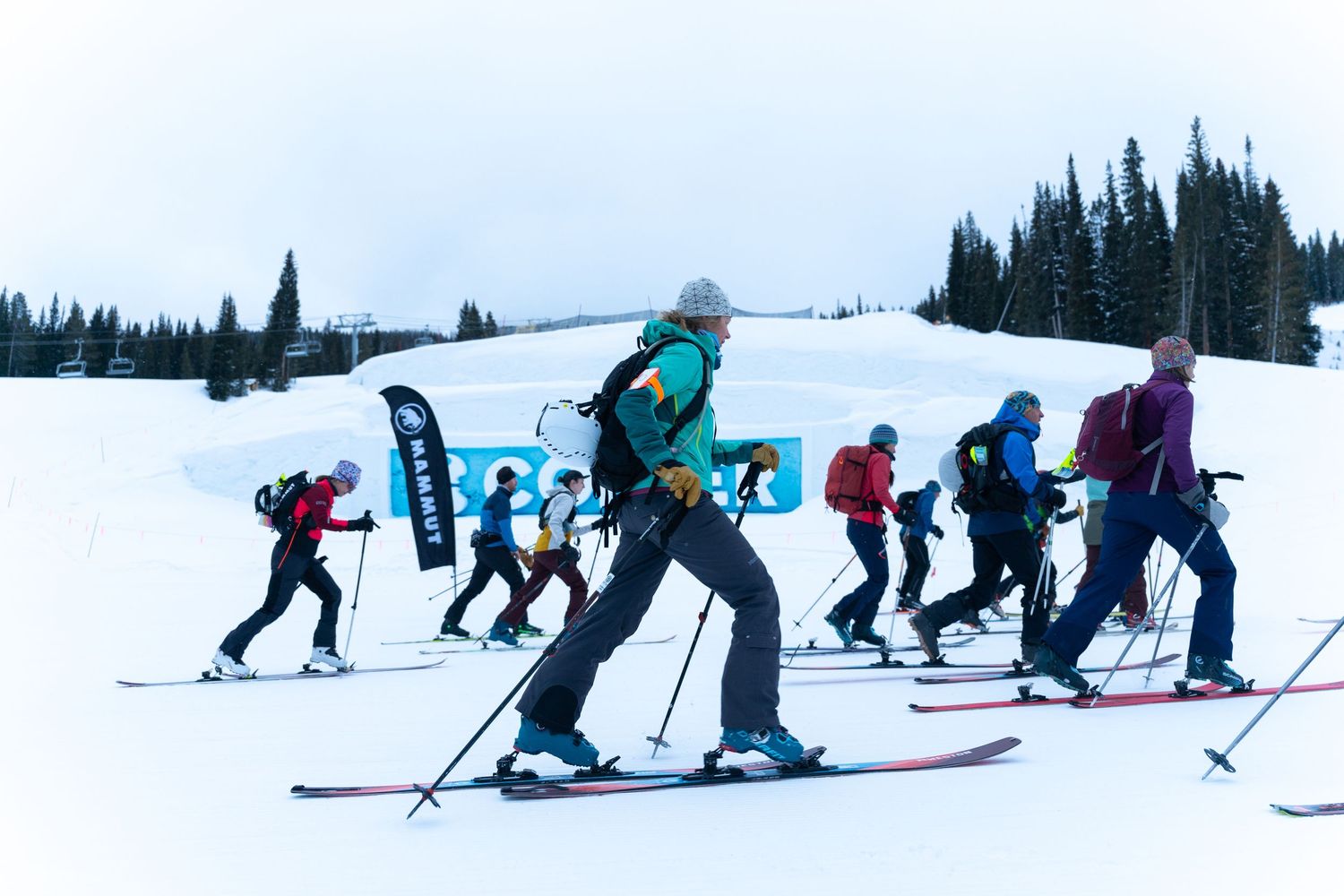 Group of skiers traverse across a snowy slope with evergreen forest in background.
