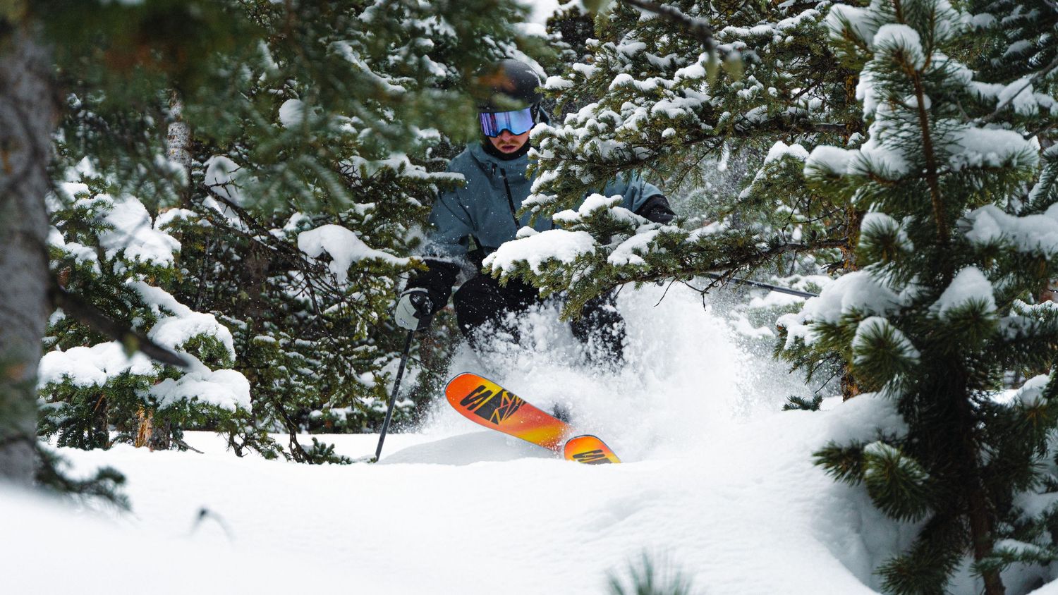 Skier catches air between snow-covered evergreen trees on bright winter day.