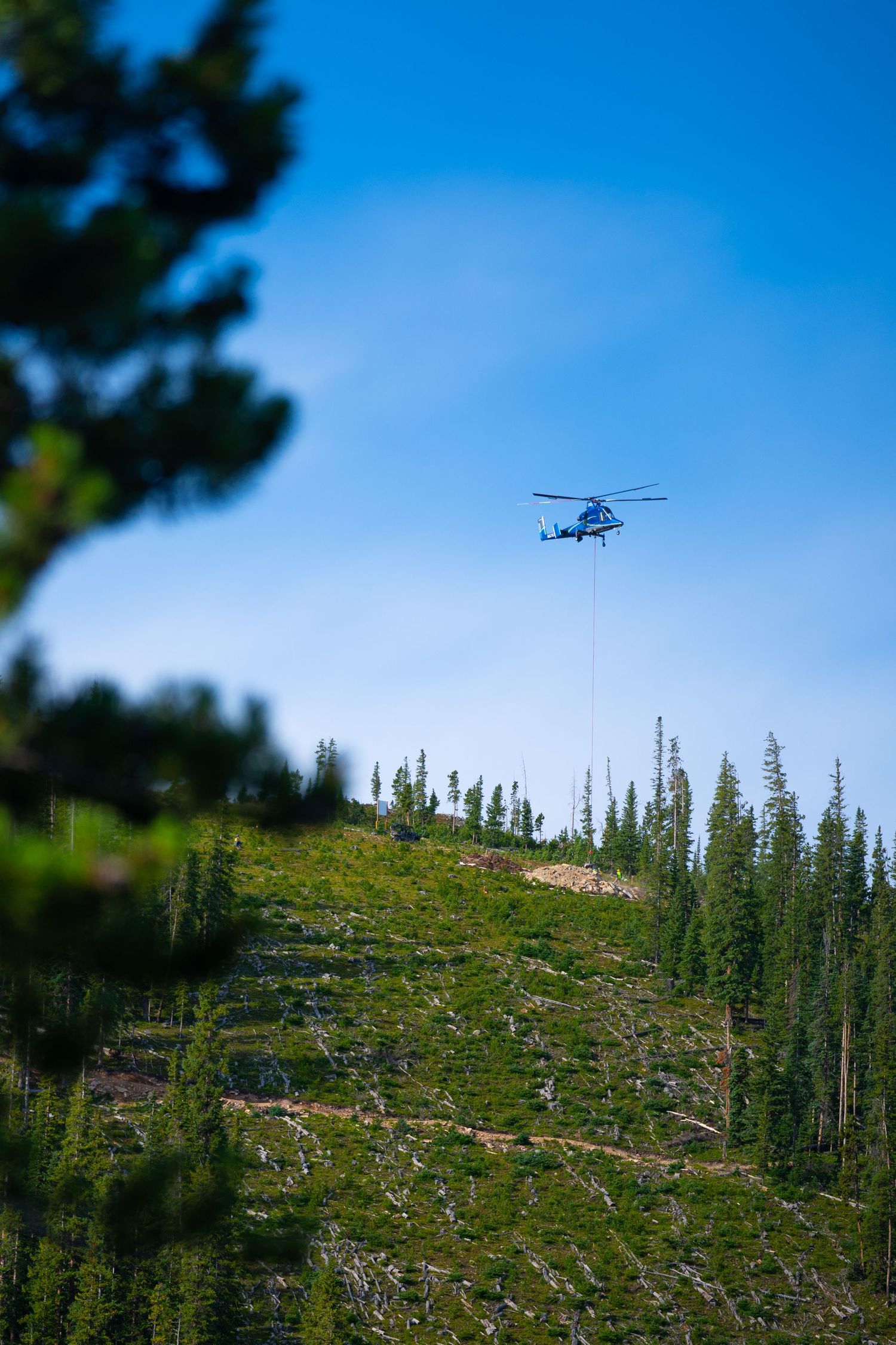 Helicopter hovers above pine-covered mountain slope against bright blue sky.