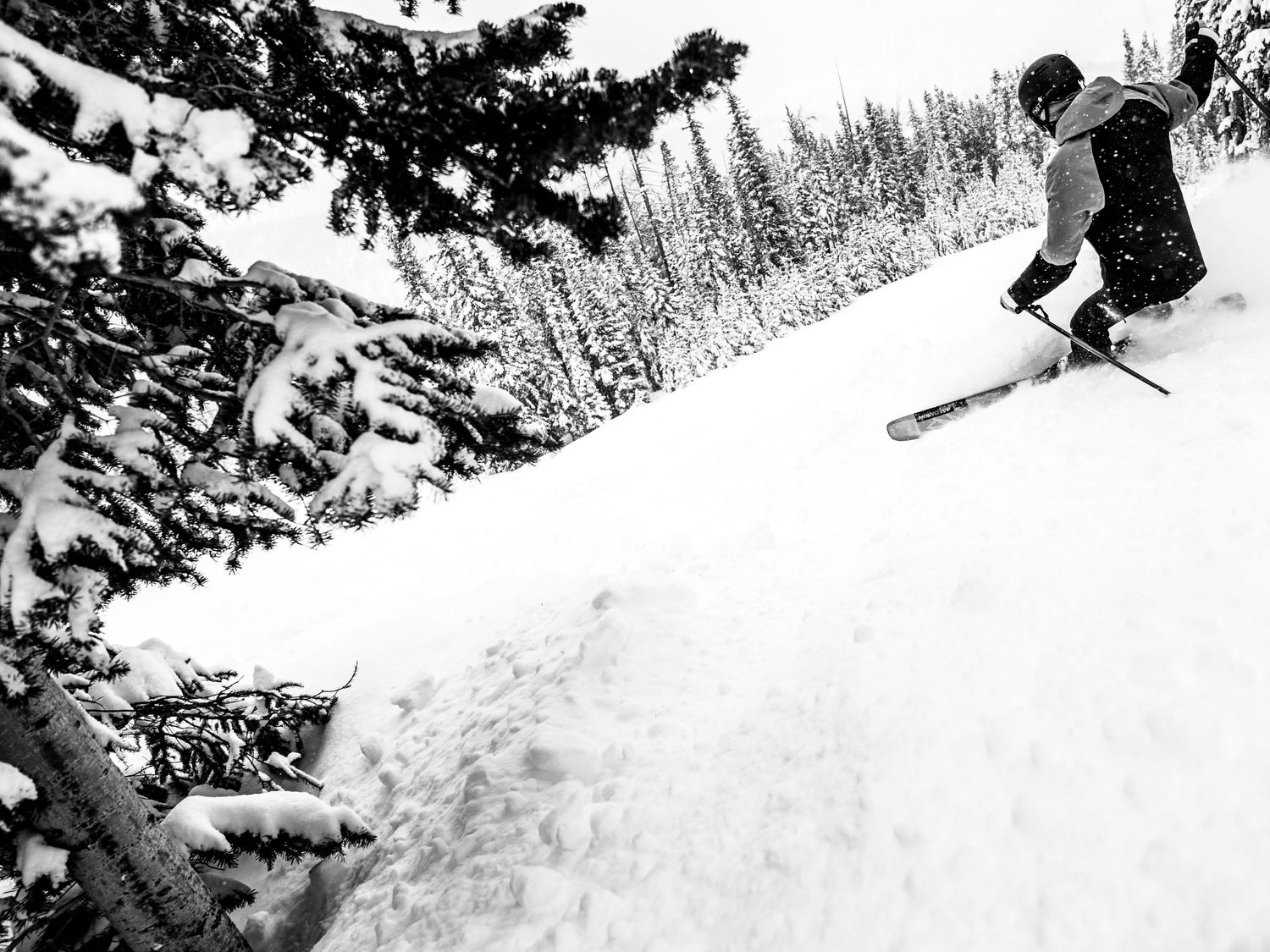 Black and white image of a skier carving down a steep snowy mountain slope.