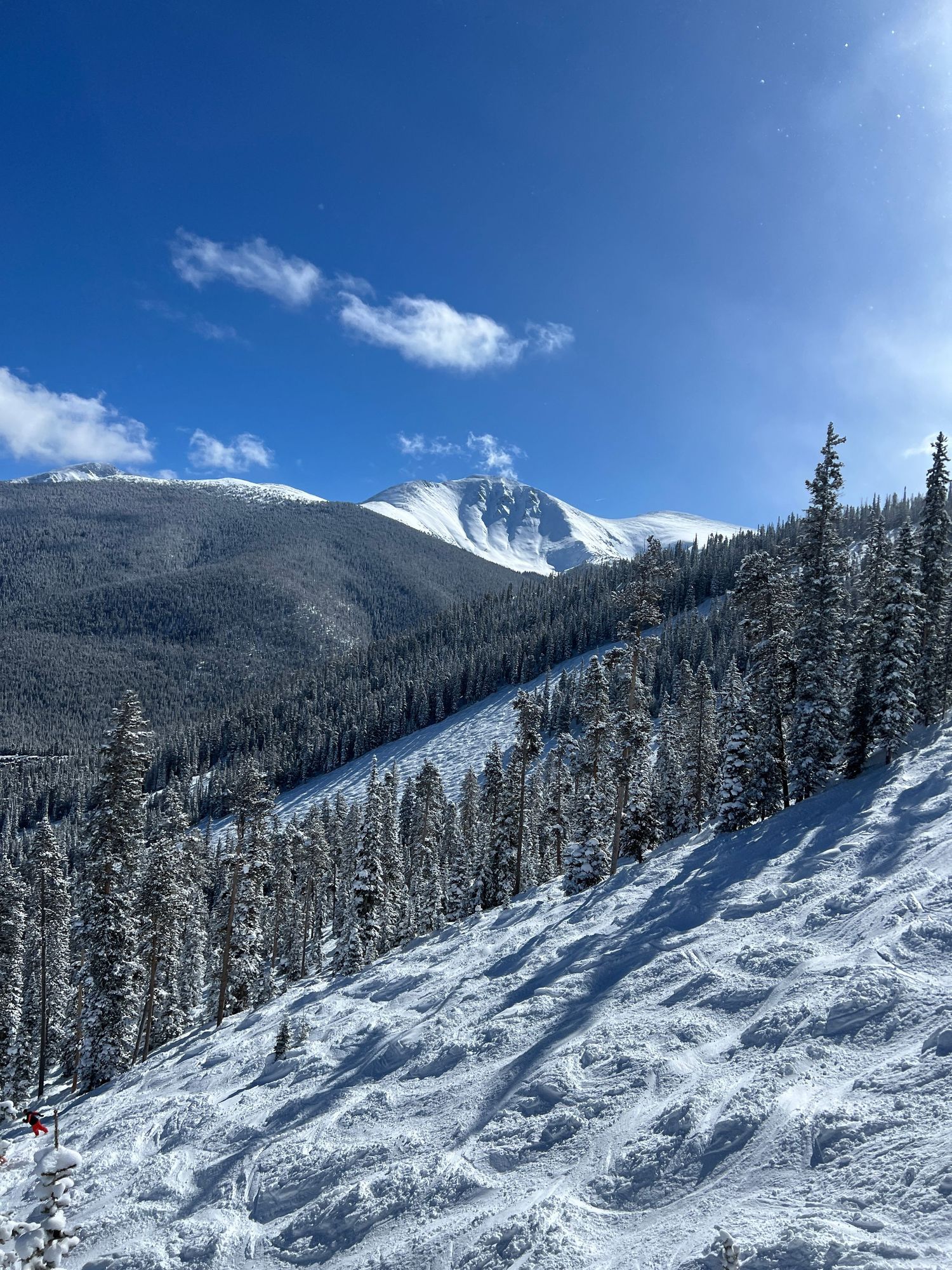 Snow-covered mountain peak rises against blue sky with ski slopes and evergreen forest.