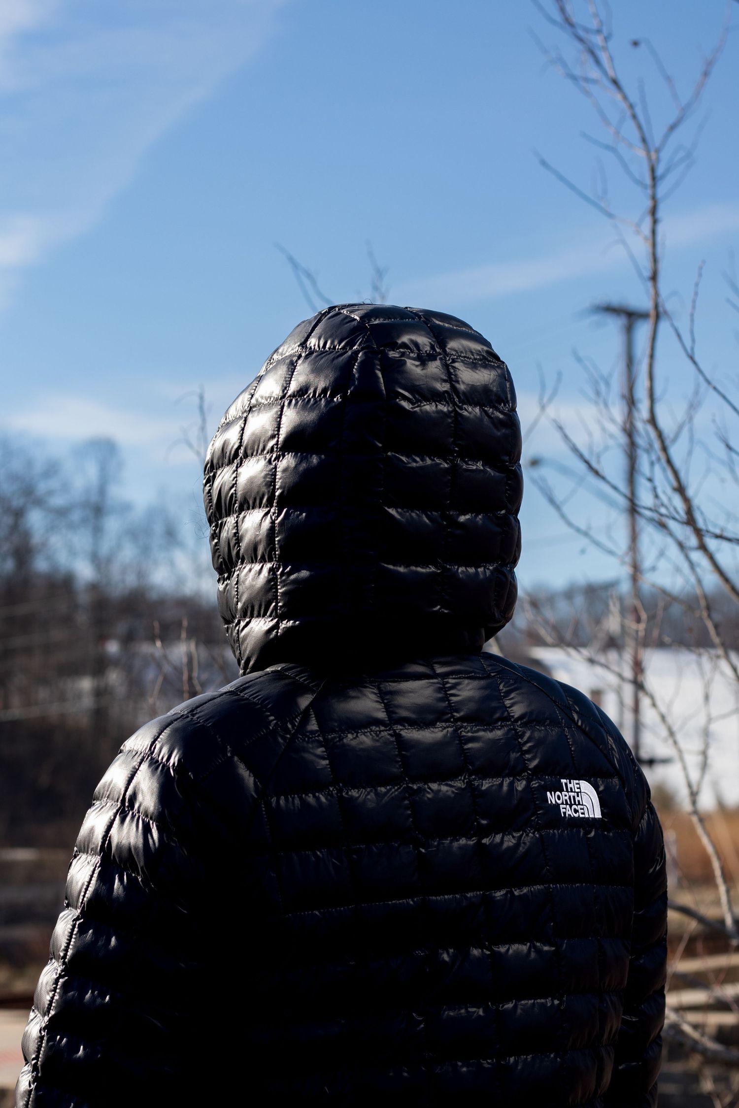 Back view of person in black North Face hooded puffer jacket against blue winter sky.