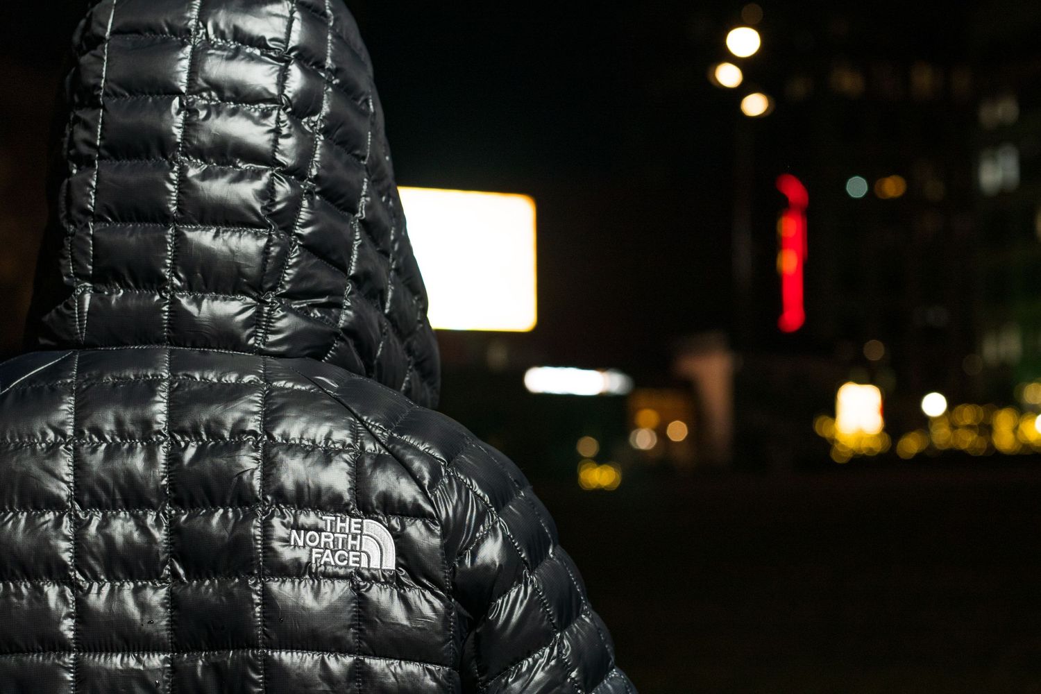 Person in black North Face quilted hooded jacket viewed from behind at night.