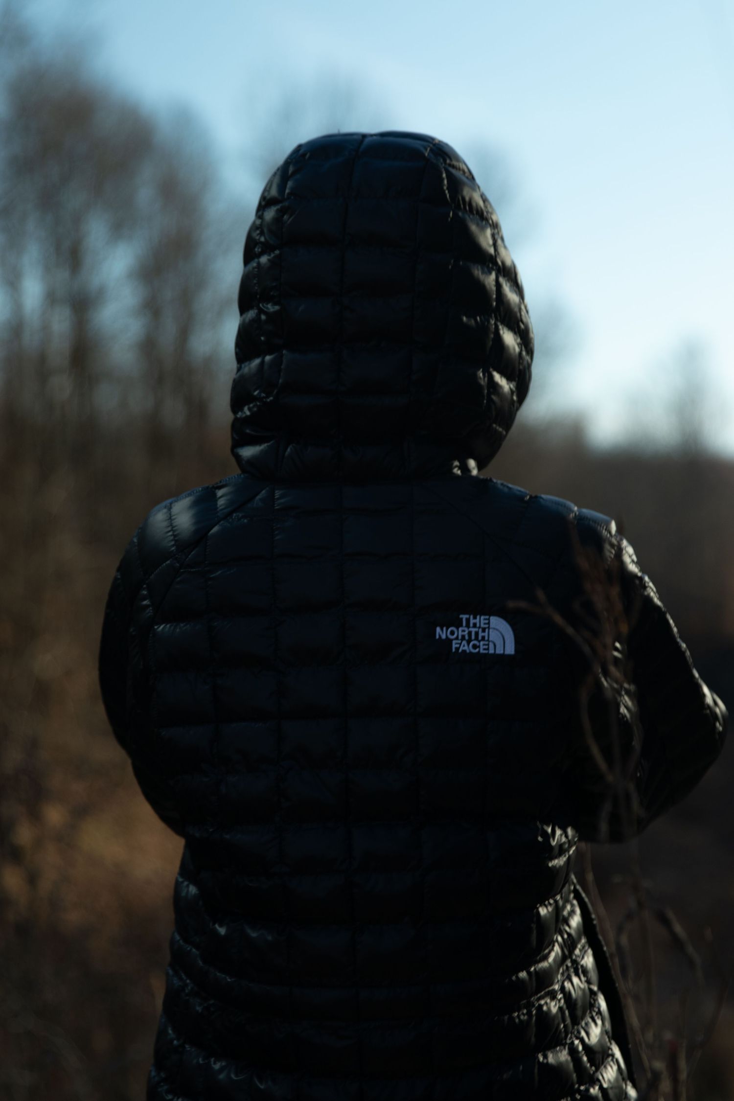 Back view of person in black hooded North Face puffer jacket against blurred winter landscape.