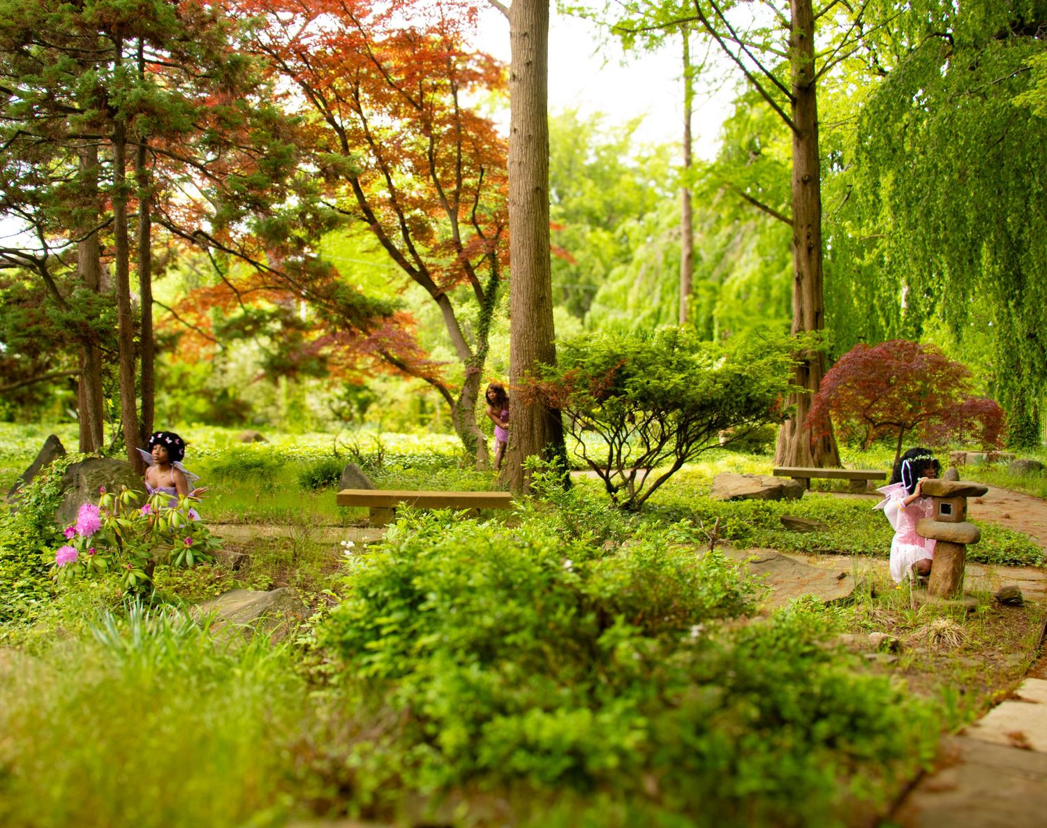 Lush Japanese garden with colorful trees and stone lantern.